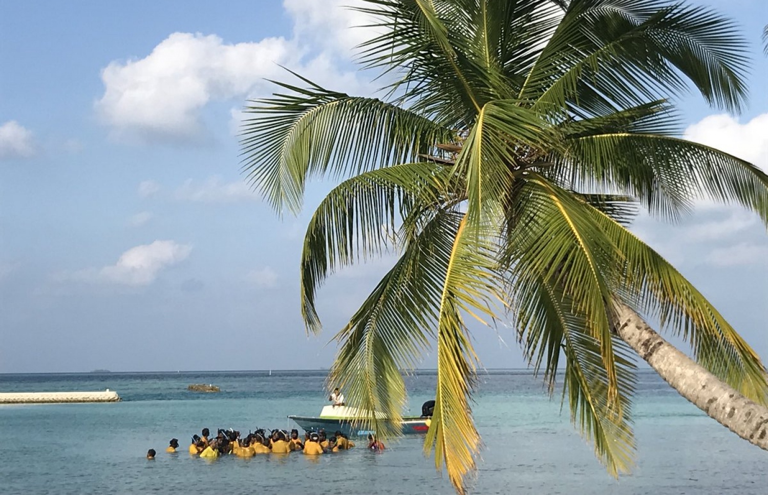 ބިލެއްދޫން ފަތާފައި މަގޫދޫއަށް އައި އެމްޑީޕީ ސަޕޯޓަރުން މޫދުގައި. -- ޓްވިޓާ ފޮޓޯ: ރޮޒައިނާ އާދަމް