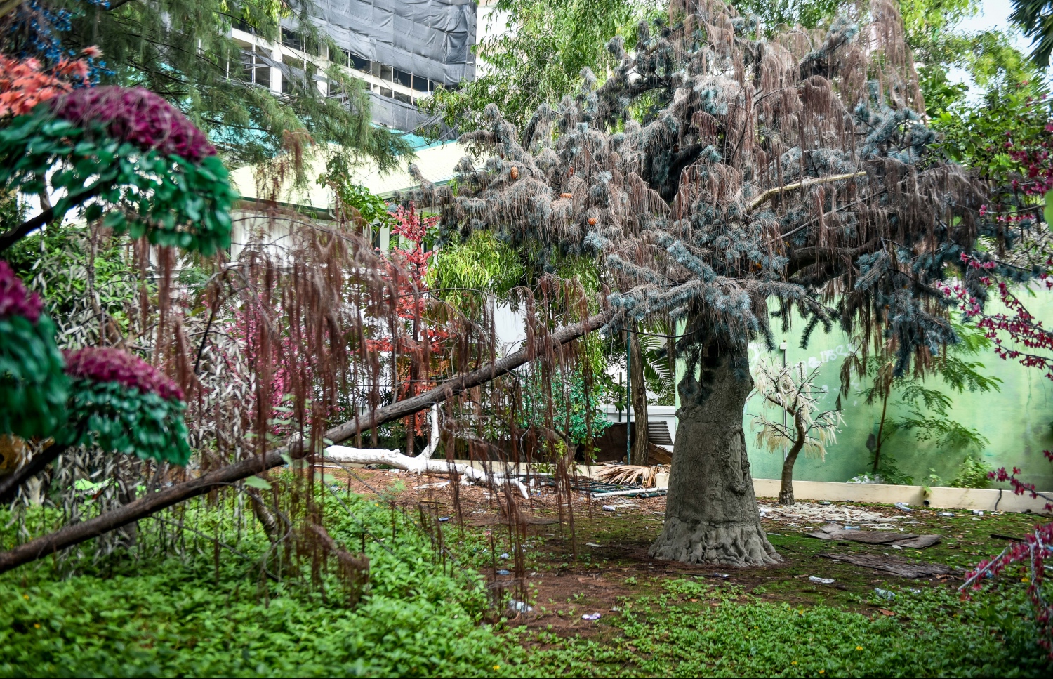 ލެޑް ޕާކްގެ ދިއްލޭ ގަސްތައް ހަލާކުވެފައި: ޕާކް ތަރައްގީކުރުން ލަސްވީ ކީއްވެގެން ކަމެއް ނޭނގެ - މިހާރު ފޮޓޯ: ނިޝާން އަލީ