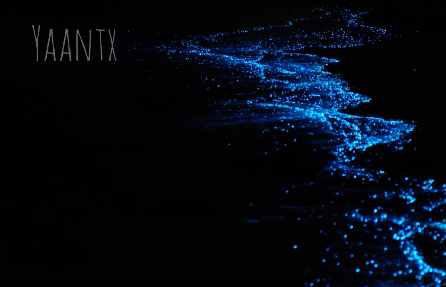 ރ. ވާދޫގައި ރެދަންލާފައި--