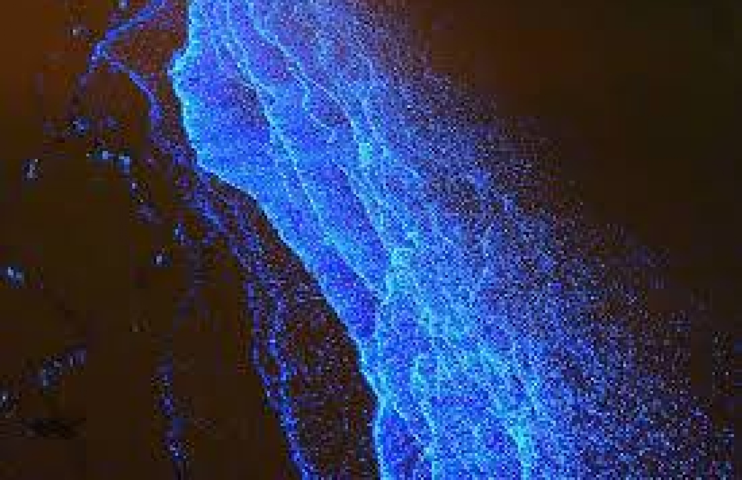 ވާދޫގައި ރެދެންލައި، ނޫ ކުލައިން ޖަރީވެފައި