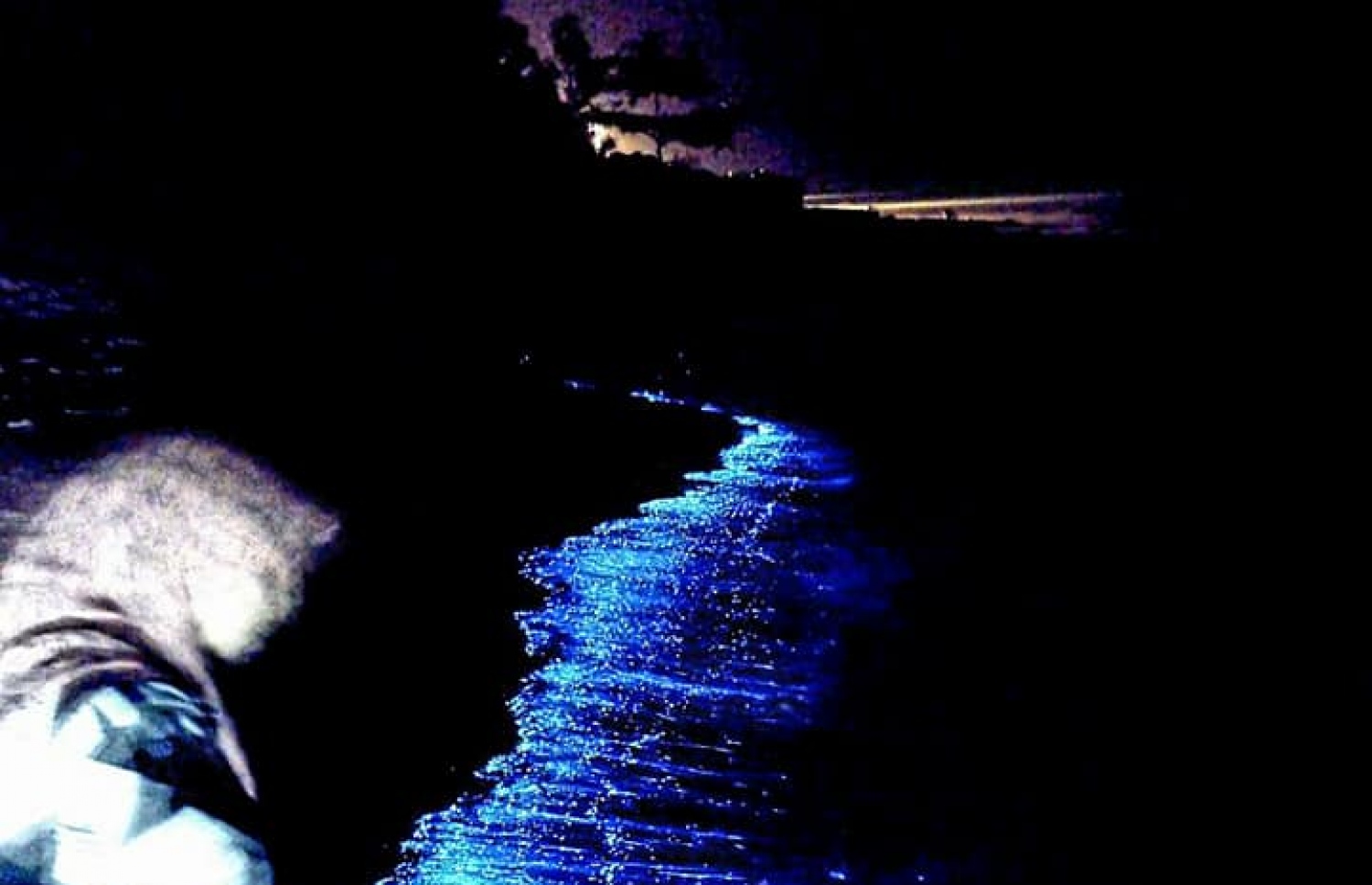 ރ. ވާދޫގައި ރެދަންލާފައި.