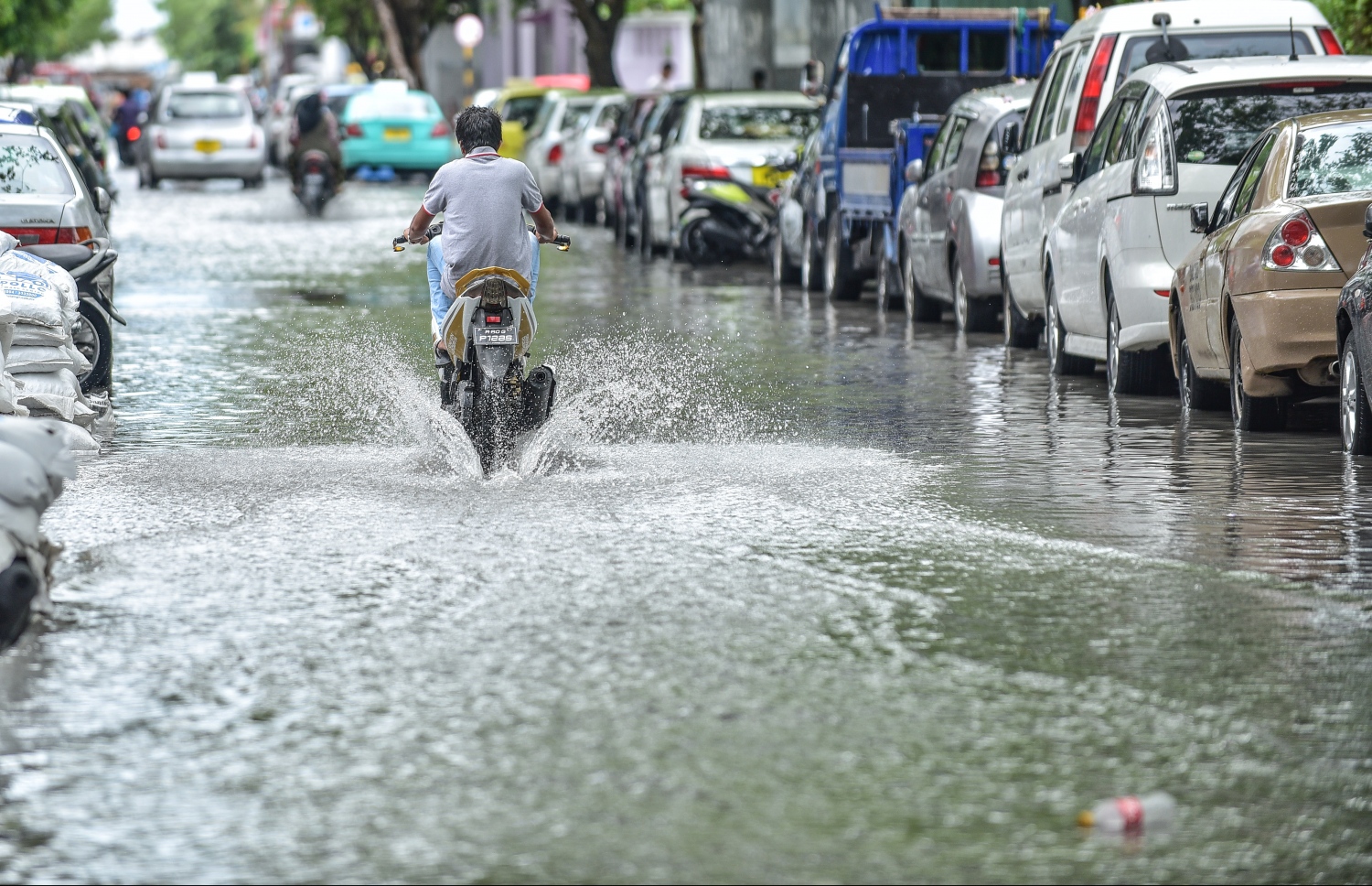 މާލެ: ޖެނުއަރީ 3، 2018- ރޭ ފަތިހު މާލެއަށް ކުރި ވިއްސާރާގައި ފެންބޮޑުވެފައިވާ މަގަކުން މީހަކު ސައިކަލް ދުއްވާފައި ދަނީ: މާލޭގެ ބައެއް މަގުތައް ރަނގަޅު ފެންވަރަކަށް ހަދައި، ފެން ހިންދާ ނިޒާމު އަލުން ގާއިމްކުރި ނމަަވެސް ފެންބޮޑުވުމުގެ މައްސަލައަށް ހައްލެއް ނުލިބޭ.---ފޮޓޯ: ނިޝާން އަލީ/މިހާރު