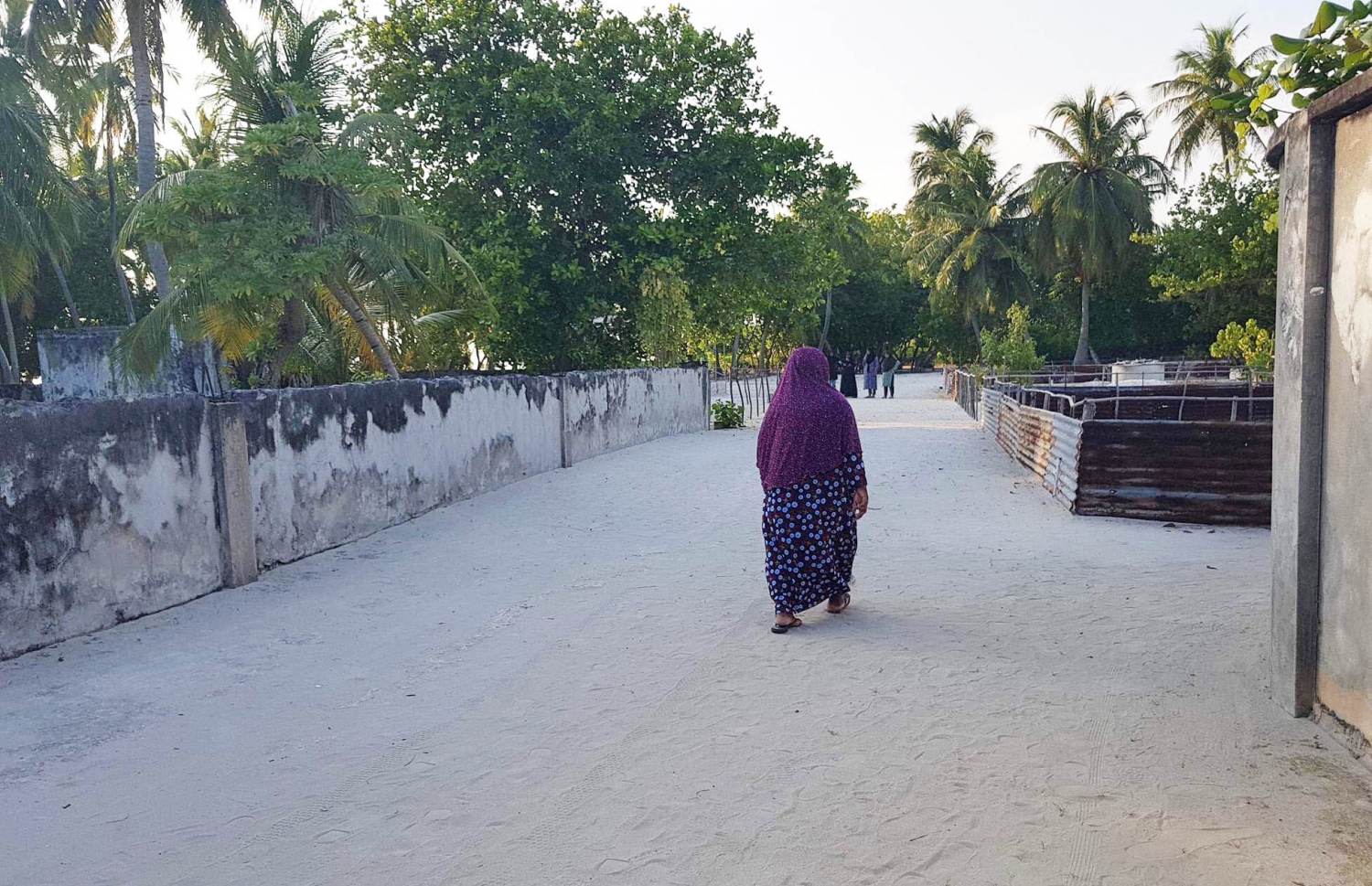 ރަކީދޫ މަގެއް މަތިން މީހަކު ހިނގާފައި ދަނީ ފޮޓޯ: ނިޔާޝާ އަބްދުއް ލަތީފް