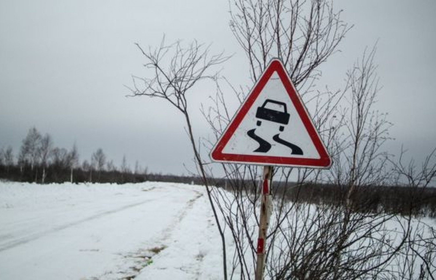 ރަޝިޔާގެ އެންމެ ފިނި ސަރަހައްދުތަކުގެ ތެރޭގައި ސައިބީރިއާ ހިމެނޭ.