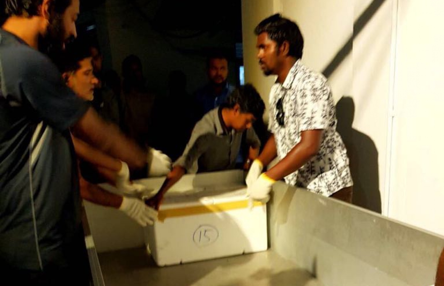 މާމިގިލި: 2018، 20 ޖެނުއަރީ: ފަން އައިލެންޑް ރިސޯޓުގައި ހުރި ބަނގުރާ ފުޅިތައް ގެންދަން ކަސްޓަމްސް އޮފިސަރުން ތައްޔާރުވަނީ. ޖުމްހޫރީ ޕާޓީގެ ލީޑަރު ގާސިމް އިބްރާހީމްގެ ރިސޯޓުތަކަށް އަރައި ފާސްކުރަނީ، ރޯޔަލް އަށް ގެންދާ ރަލާއި އޫރުމަސް އެހެން ރިސޯޓުތަކަށް ބަދަލުކޮށް ބޭނުން ކުރަމުން އަންނަނީ ގާނޫނާއި ގަވާއިދާ ހިލާފަށް ކަމަށް ބުނެ އެވެ--. ފޮޓޯ:މިހާރު