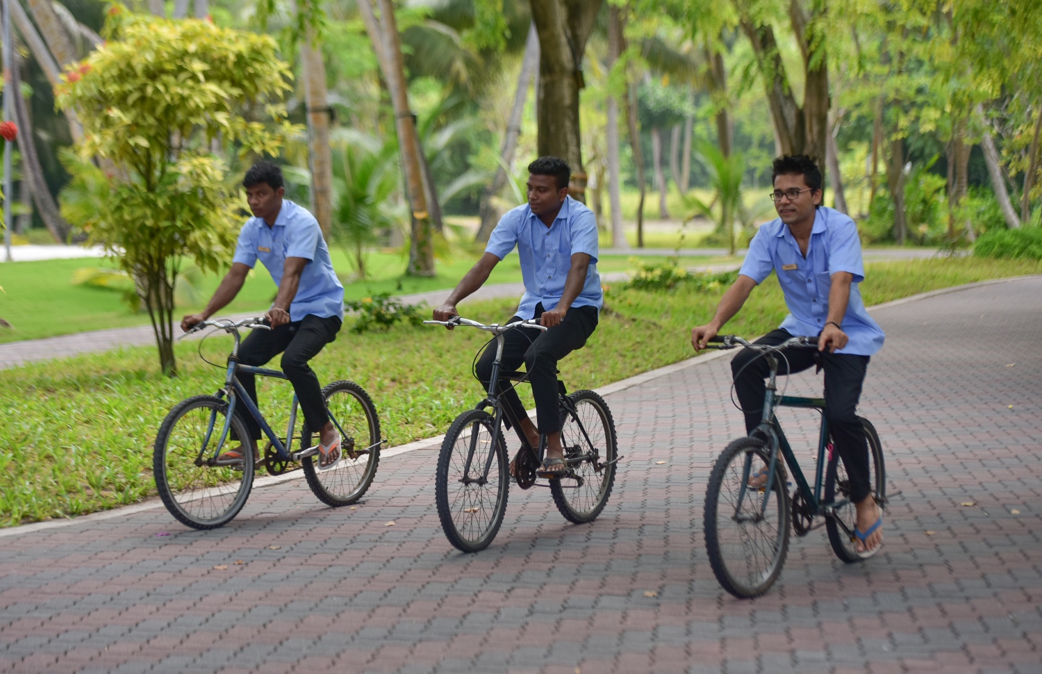 ސަން އައިލެންޑްގައި މަސައްކަތް ކުރާ މުވައްޒަފުންތަކެއް ބައިސްކަލް ދުއްވާފައި ދަނީ.--- ފޮޓޯ: ހުސެއިން ވަހީދު/ މިހާރު