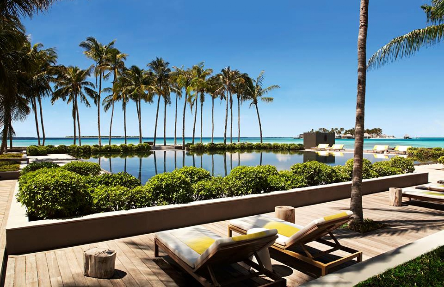 ޝެވަލް ބްލާންކް ރަންދެލި ރިސޯޓިގެ ޕޫލް އޭރިއާ-- ފޮޓޯ: ޓެލެގްރާފް