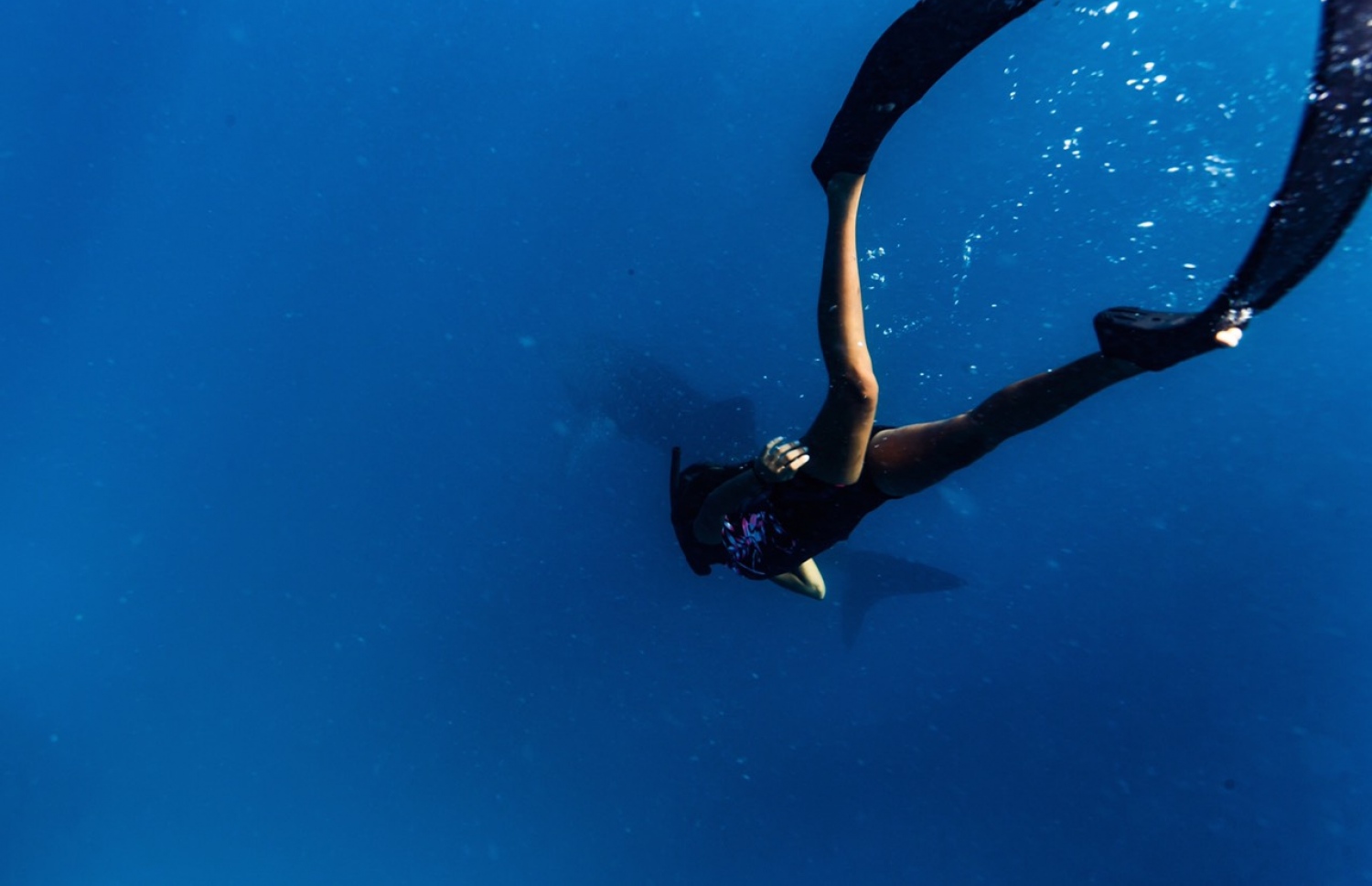 އިރޫ ޑައިވްކުރަނީ