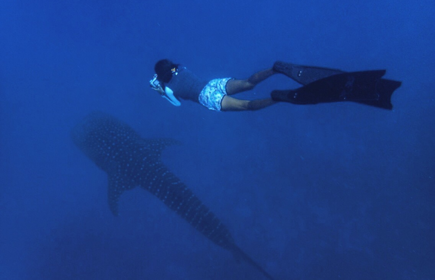 އިރޫ ޑައިވްކުރަނީ