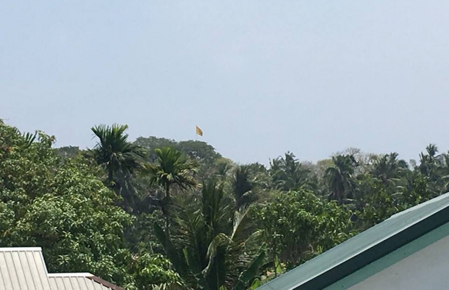 ބިލެތްފަހީގައި ނަގާފައިވާ ދިދަ ފުލުހުން ބޭލުމާއެކު ކަނޑިތީމުގައި އެއަށް ވުރެ އުސްކޮށް ދިދަ ނަގާފައި