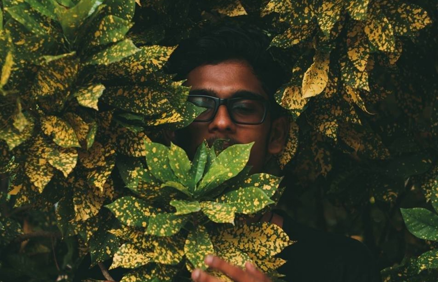 ނާއިލް: ފަންނުވެރިކަމުގައި ވެސް ފާހަގަކުރެވޭ ކަންކަން ކޮށްފައިވޭ