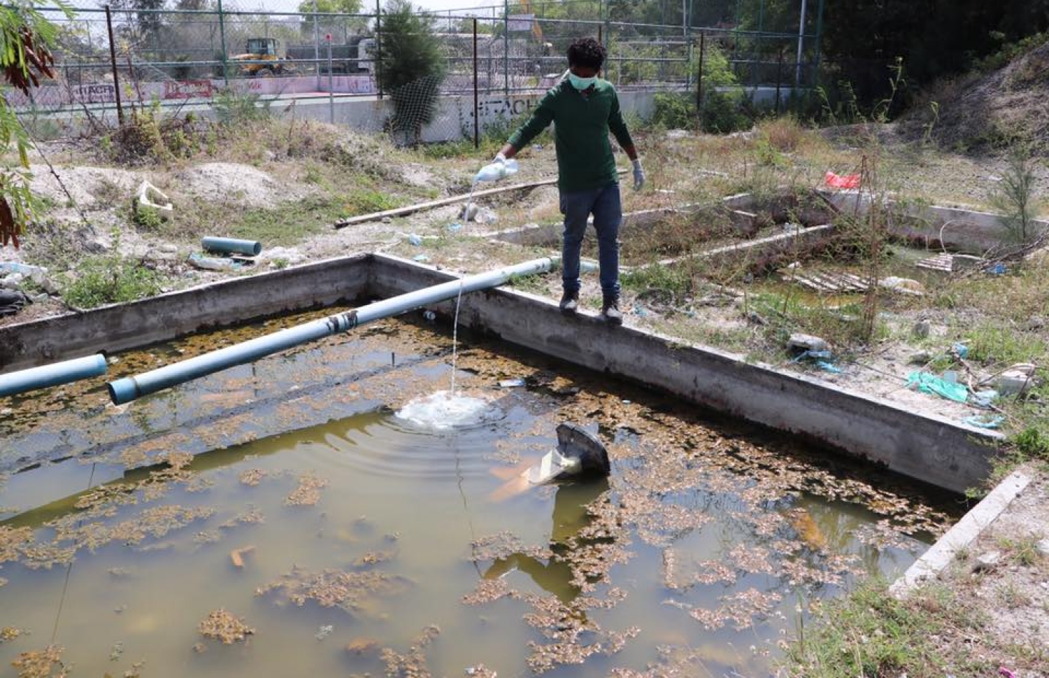 ހުޅުމާލޭގައި މަދިރި އާލާވާ ތަންތަނަށް ބޭސް ޖަހައި، މަދިރި ފަނިތައް މަރަނީ. - ފޮޓޯ: އެޗްޑީސީ