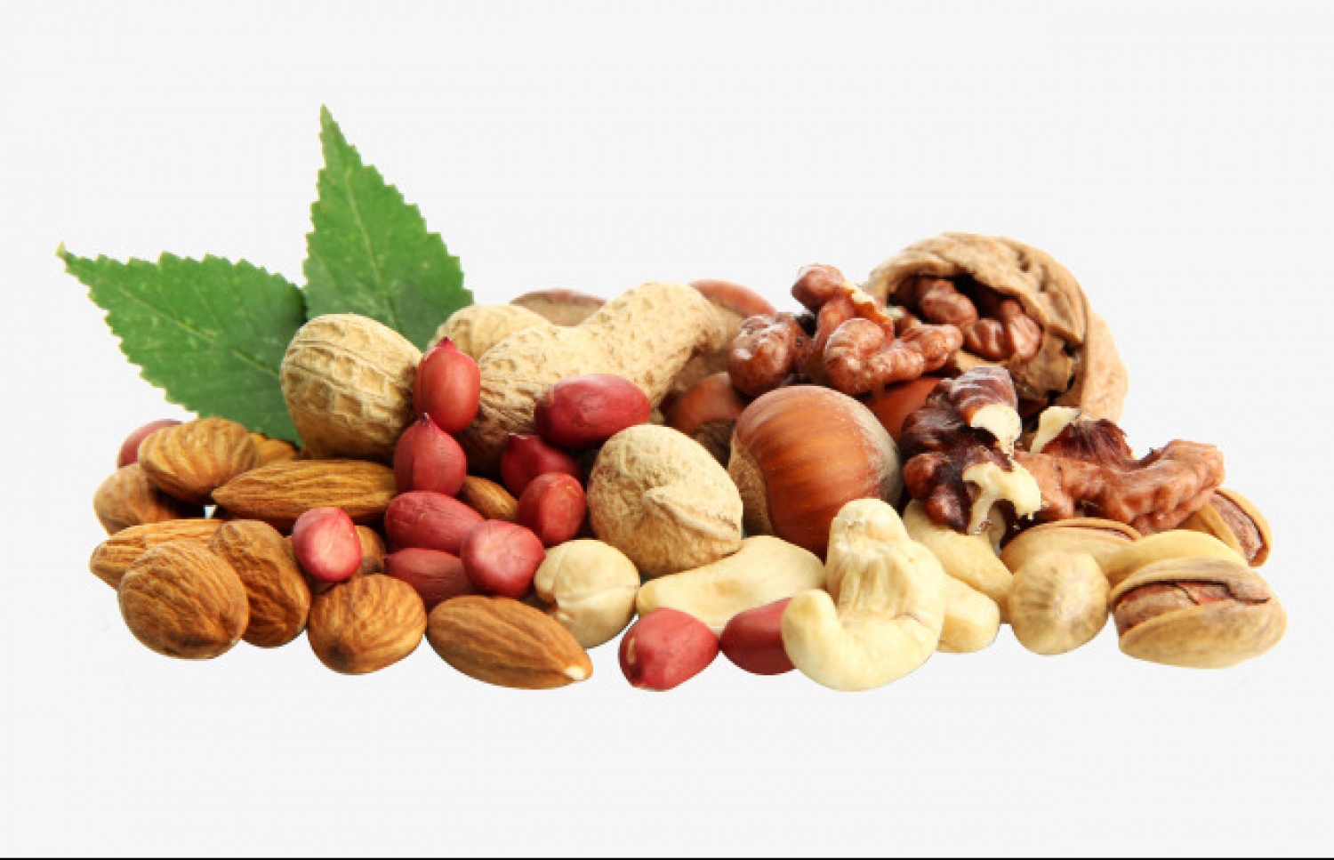 ނަޓްސްގެ ބާވަތްތަކެއް: ސިއްހީ ގޮތުން ފައިދާތައް ގިނަ.