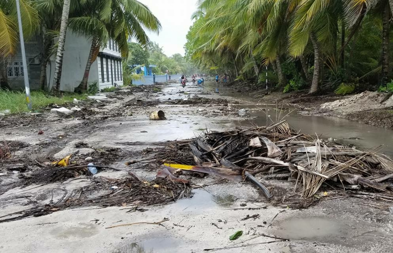 ފުވައްމުލަކަށް އުދައަރާފައި