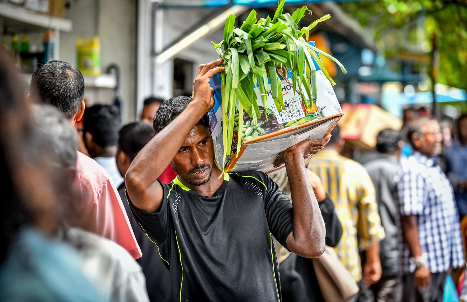 މާލެ: މޭ 14، 2018: ލޯކަލް މާރުކޭޓު ސަރަހައްދުގައި މީހަކު މުދާ އުފުލަނީ.-- ފޮޓޯ: ނިޝާން އަލީ/މިހާރު