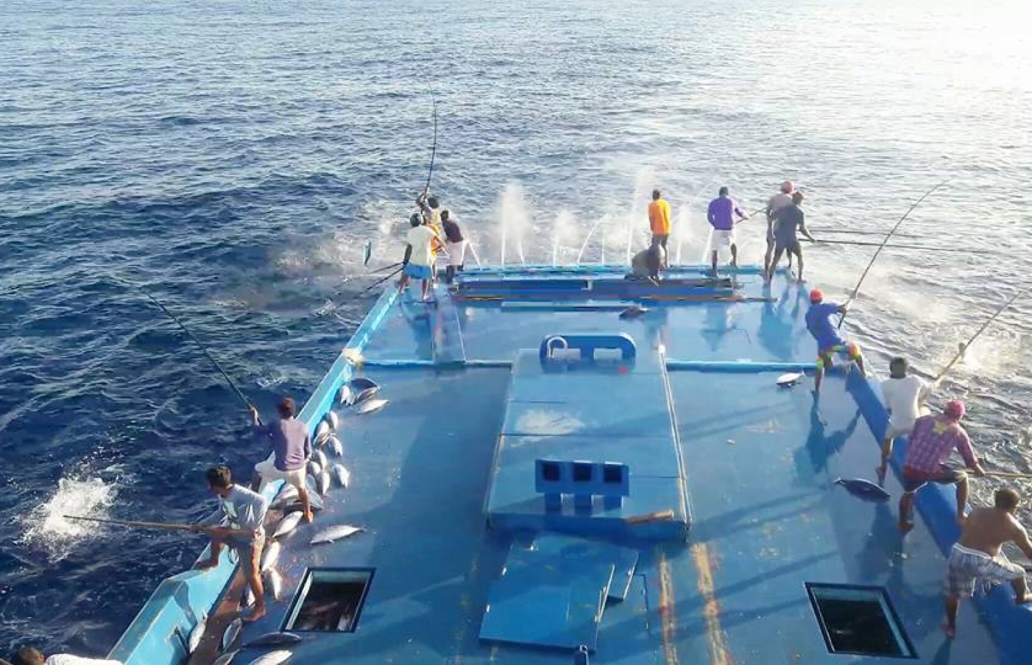 ގެމަނަފުށީގެ މަސް ދޯންޏަކުން މަސް ބާނަނީ-- ފޮޓޯ: ފޭސްބުކް