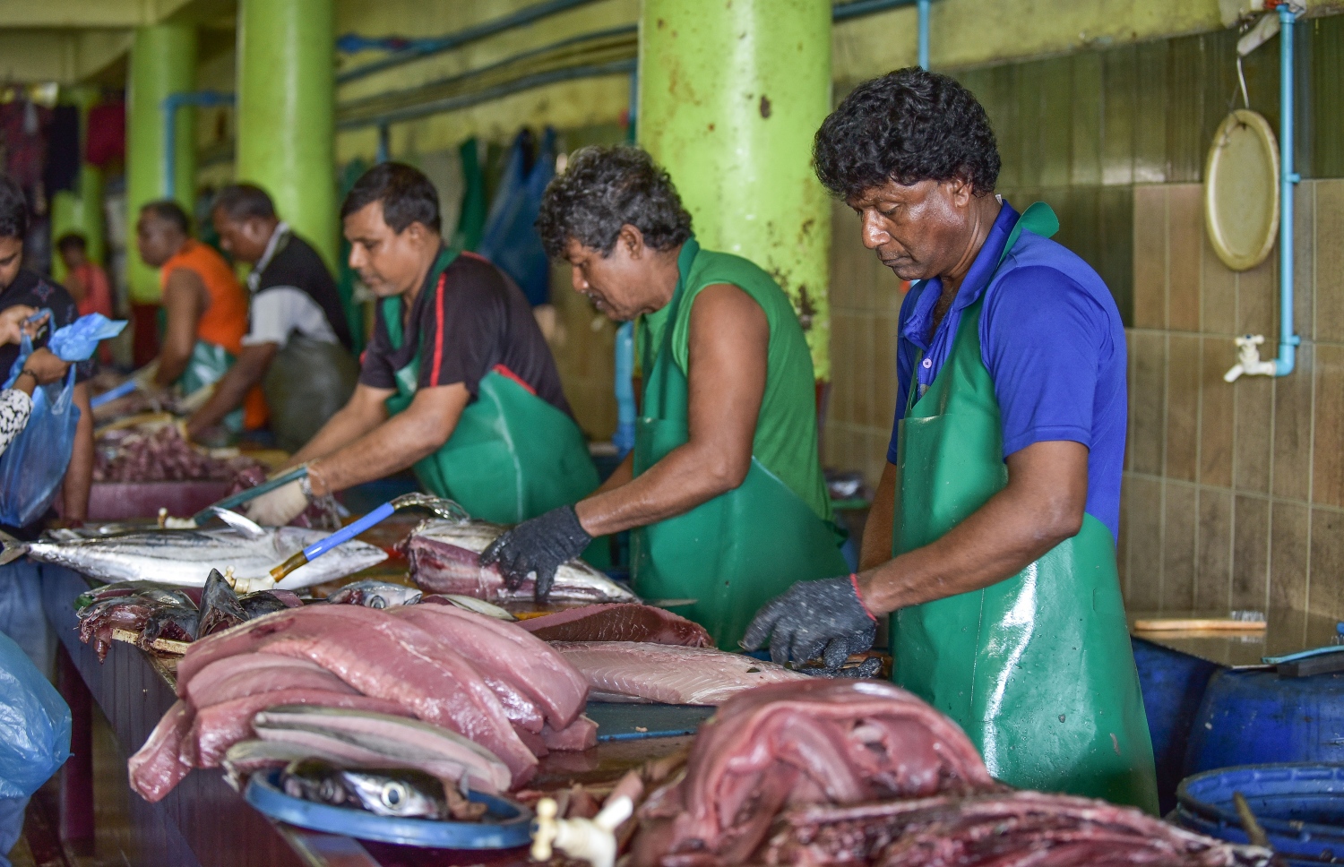 މަސް މާރުކޭޓުގައި ބަޔަކު މަސް ކަނޑަނީ: މަސްވެރިކަން ހިމާޔަތްކުރަން ޖެހޭ ---ފޮޓޯ: ނިޝާން އަލީ/މިހާރު