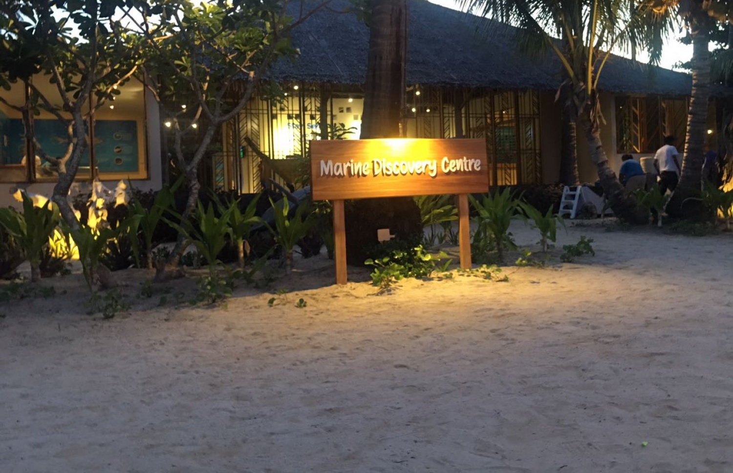 ތައިލެންޑް، ފީފީ އައިލެންޑް: މޭ 17، 2018- ފީފީ އައިލެންޑްގައި ހުރި މެރިން ޑިސްކަވަރީ ސެންޓަރު. ކަނޑުގެ ދިރުންތަކާ ބެހޭ މައުލޫމާތު އެ ސެންޓަރުން އާންމުންނަށް ފޯރުކޮށްދޭނެ.---ފޮޓޯ: މުހައްމަދު ޔާމީން/މިހާރު