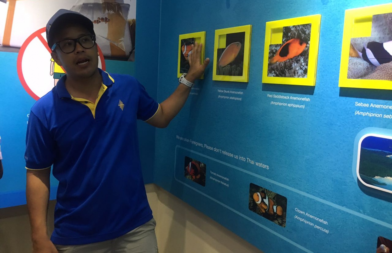 ތައިލެންޑް، ފީފީ އައިލެންޑް: މޭ 16، 2018- މެރިން ޑިސްކަވަރީ ސެންޓަރުގައި ކްލައުން ފިޝްތަކާ ބެހޭ މައުލޫމާތު މީހަކު ދެނީ.--- ފޮޓޯ: މުހައްމަދު ޔާމީން/މިހާރު