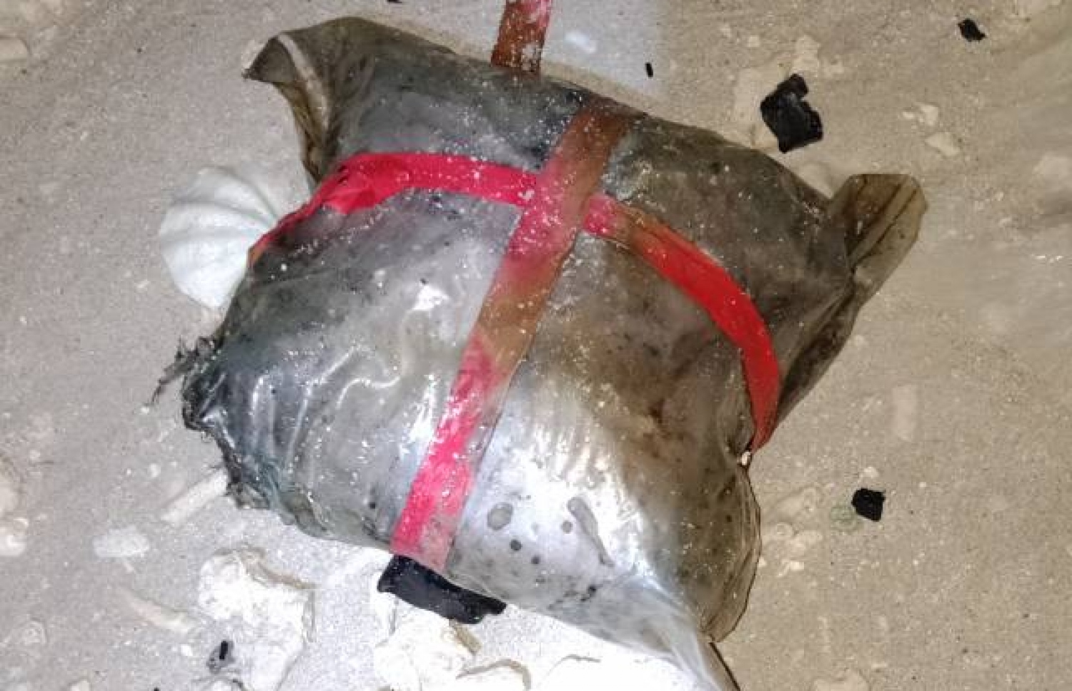 މިދިޔަ ހަފްތާގައި ފަރަށް އެރި އީރާނުގެ ބޯޓުން ގެނައި ކަމަށް ބެލެވޭ މަސްތުވާތަކެތީގެ ޕެކެޓެއް --