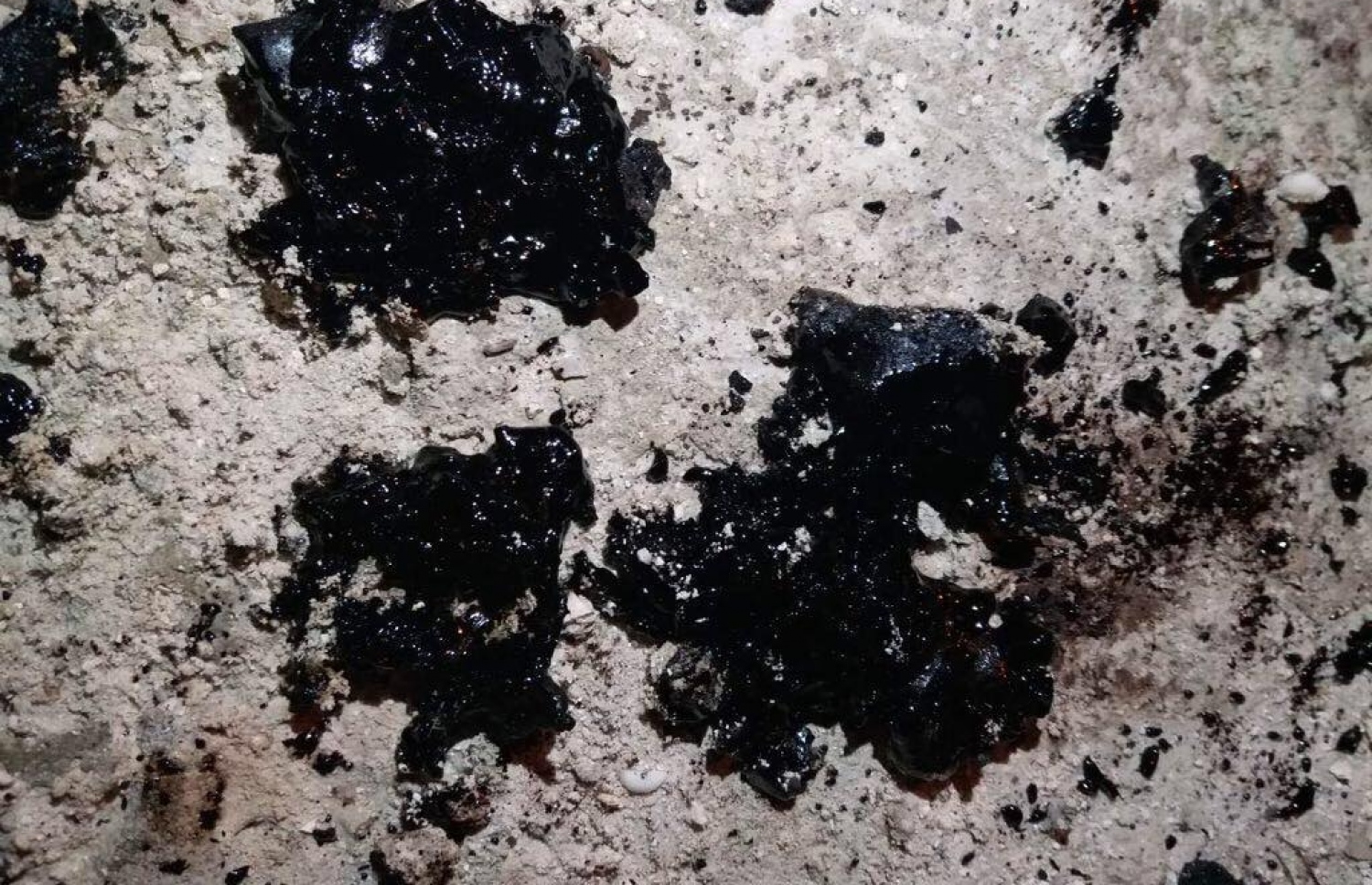 އުލިގަމު ގޮނޑުދޮށަށް ލެއްގި ކަމަށް ބެލެވޭ މަސްތުވާތަކެތި.