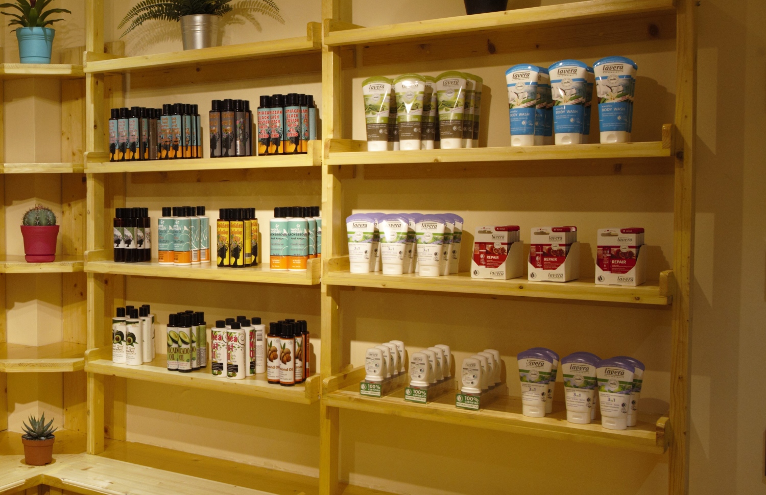 މާލެ: ޖޫން 2، 2018: ރީތިވުމާއި ދުޅަހެޔޮ ސިއްހަތެއްގައި ހުރުމަށް ބޭނުންވާ އޯގޭނިކް އަދި ނެޗުރަލް އުފެއްދުންތައް ވިއްކުމަށް ޚާއްސަކޮށް ހުޅުވި "އޮން ވީ" ފިހާރަ: މި ފިހާރަ އިން ވިއްކާ މަޝްހޫރު ބްރޭންޑްތަކުގެ ތެރޭގައި އިނގިރޭސި ވިލާތުގެ ދި އޯގޭނިކް ފާމަސީގެ އުފެއްދުން ތަކާއި، ޖަރުމަނުގެ ލަވޭރާ އަދި ހިޕް ބްރޭންޑްގެ އުފެއްދުންތަކުގެ އިތުރުން ޕޮލެންޑްގެ އާވާ ބްރޭންޑްގެ އުފެއްދުންތައް ވެސް ހިމެނޭ.-- ފޮޓޯ: އޮން ވީ