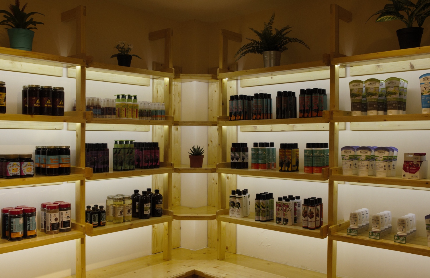 ނެޗުރަލް އުފެއްދުންތަކަށް ޚާއްސަ "އޮން ވީ" ފިހާރަ ހުޅުވުން