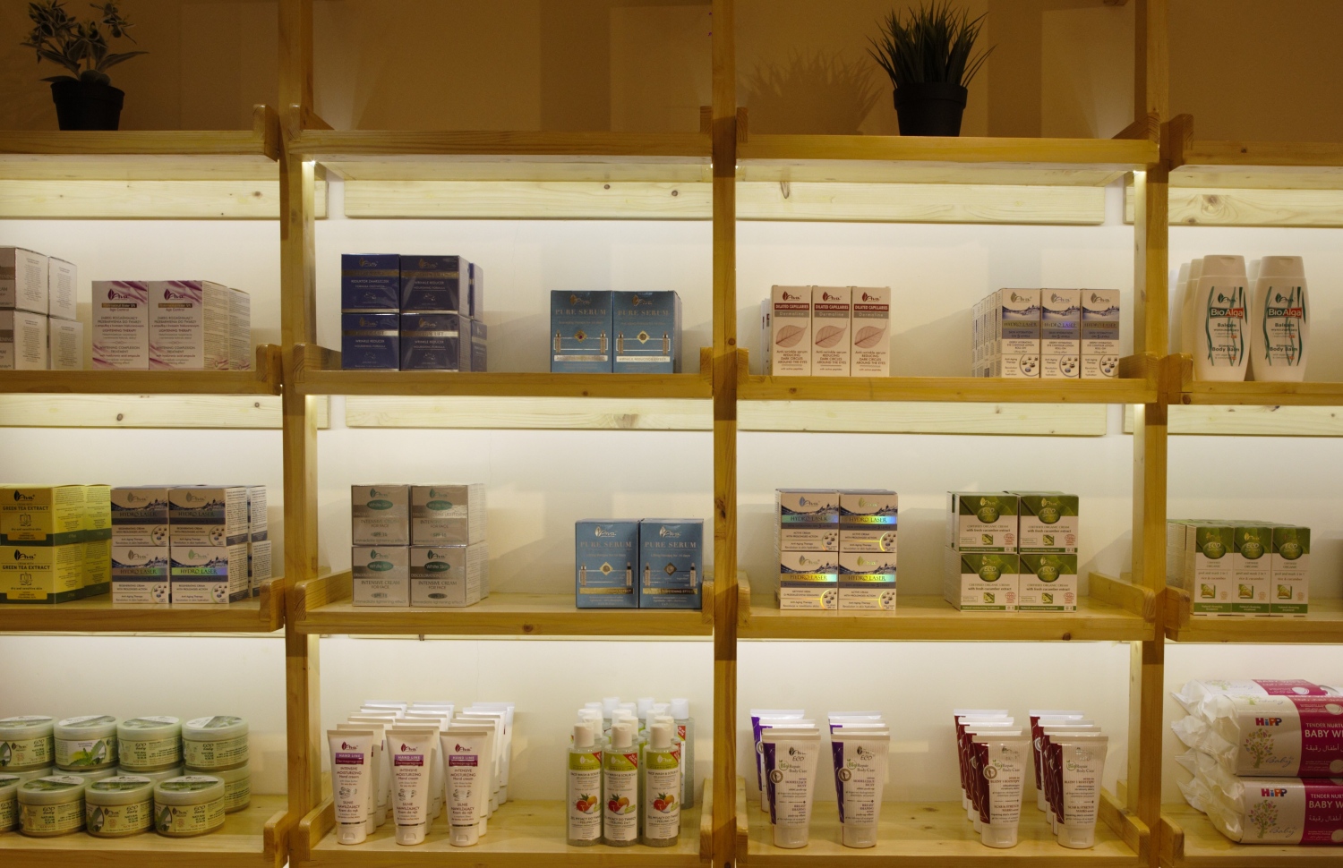 މާލެ: ޖޫން 2، 2018: ރީތިވުމާއި ދުޅަހެޔޮ ސިއްހަތެއްގައި ހުރުމަށް ބޭނުންވާ އޯގޭނިކް އަދި ނެޗުރަލް އުފެއްދުންތައް ވިއްކުމަށް ޚާއްސަކޮށް ހުޅުވި "އޮން ވީ" ފިހާރަ: މި ފިހާރަ އިން ވިއްކާ މަޝްހޫރު ބްރޭންޑްތަކުގެ ތެރޭގައި އިނގިރޭސި ވިލާތުގެ ދި އޯގޭނިކް ފާމަސީގެ އުފެއްދުން ތަކާއި، ޖަރުމަނުގެ ލަވޭރާ އަދި ހިޕް ބްރޭންޑްގެ އުފެއްދުންތަކުގެ އިތުރުން ޕޮލެންޑްގެ އާވާ ބްރޭންޑްގެ އުފެއްދުންތައް ވެސް ހިމެނޭ.-- ފޮޓޯ: އޮން ވީ