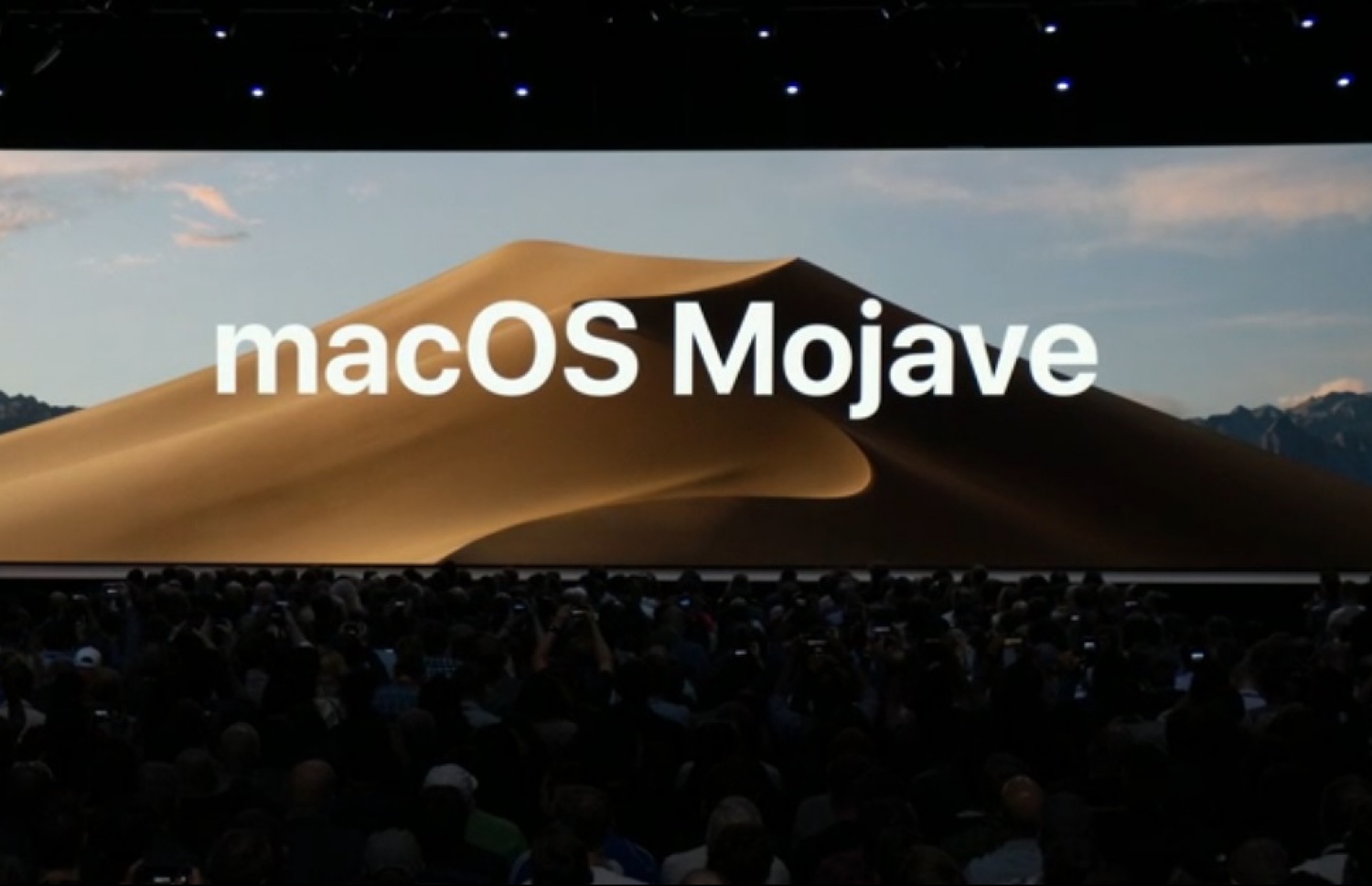 'މެކްއޯއެސް' 10.4 'މޮހާވީ' ގެ ފުރަތަމަ ދައްކައިލުން - ފޮޓޯ: ދަ ނެކްސްޓް ވެބް