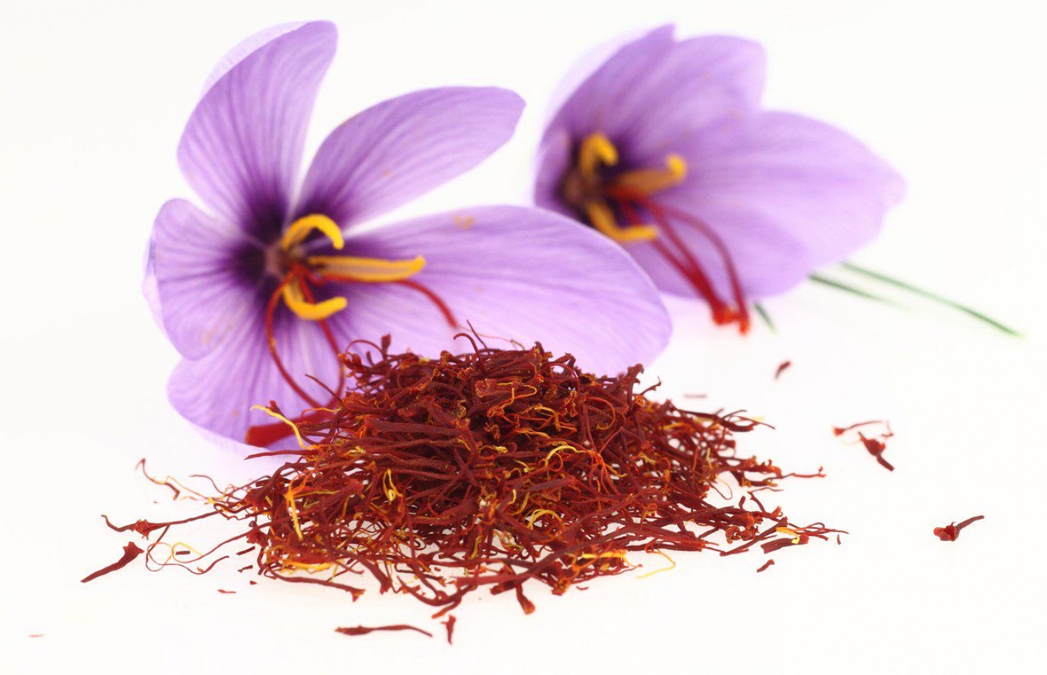 ސެފްރޯން: މިއީ ވަރަށް އަގު ބޮޑު އެއްޗެއް.