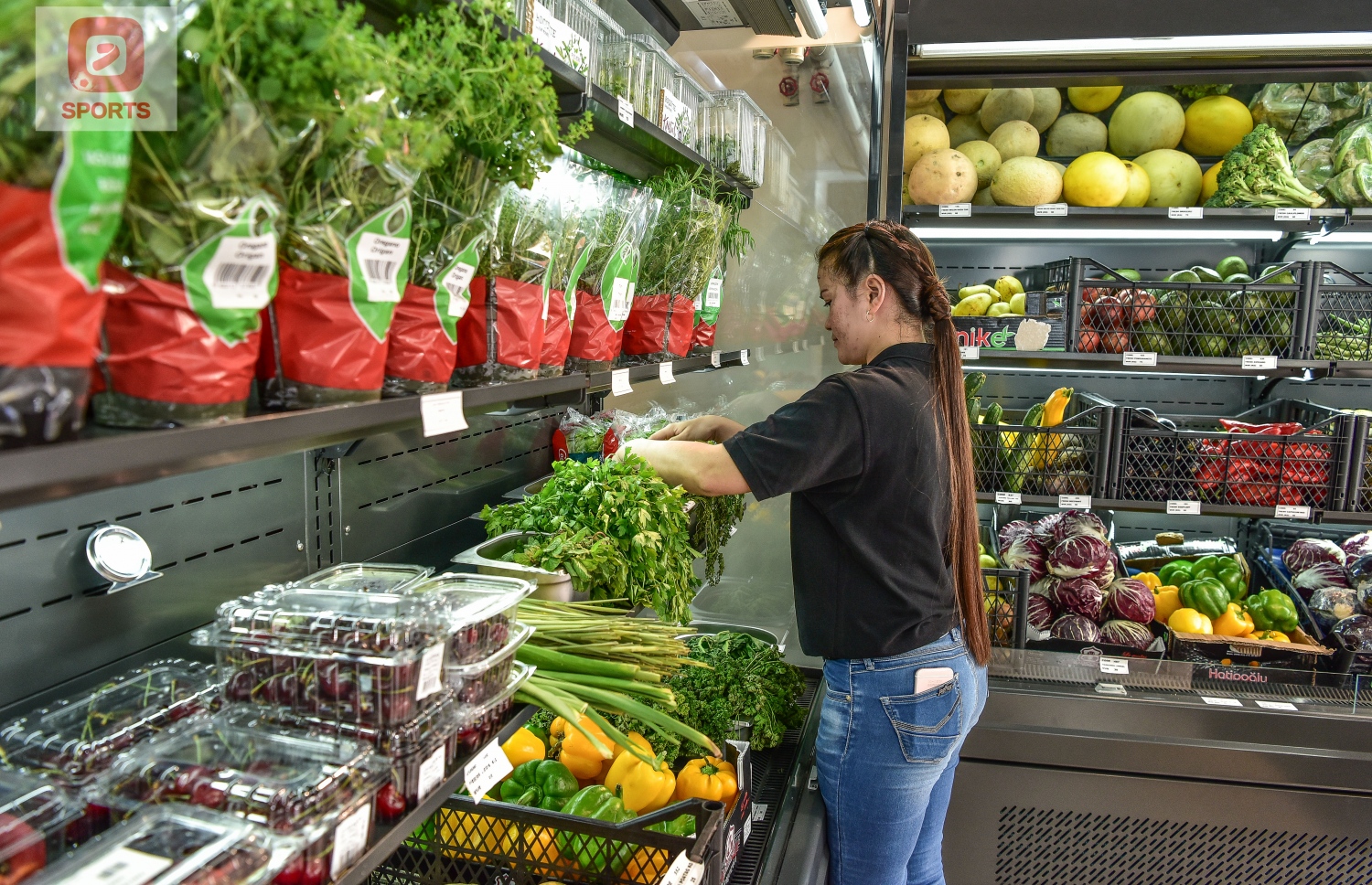 ޔުނައިޓެޑް ޝޮޕްގައި ވިއްކަން ހުރި ބައެއް ފަތްޕިލާވެލީގެ ބާވަތްތައް ދައްކާލަނީ.-- ފޮޓޯ: ނިޝާން އަލީ/މިހާރު