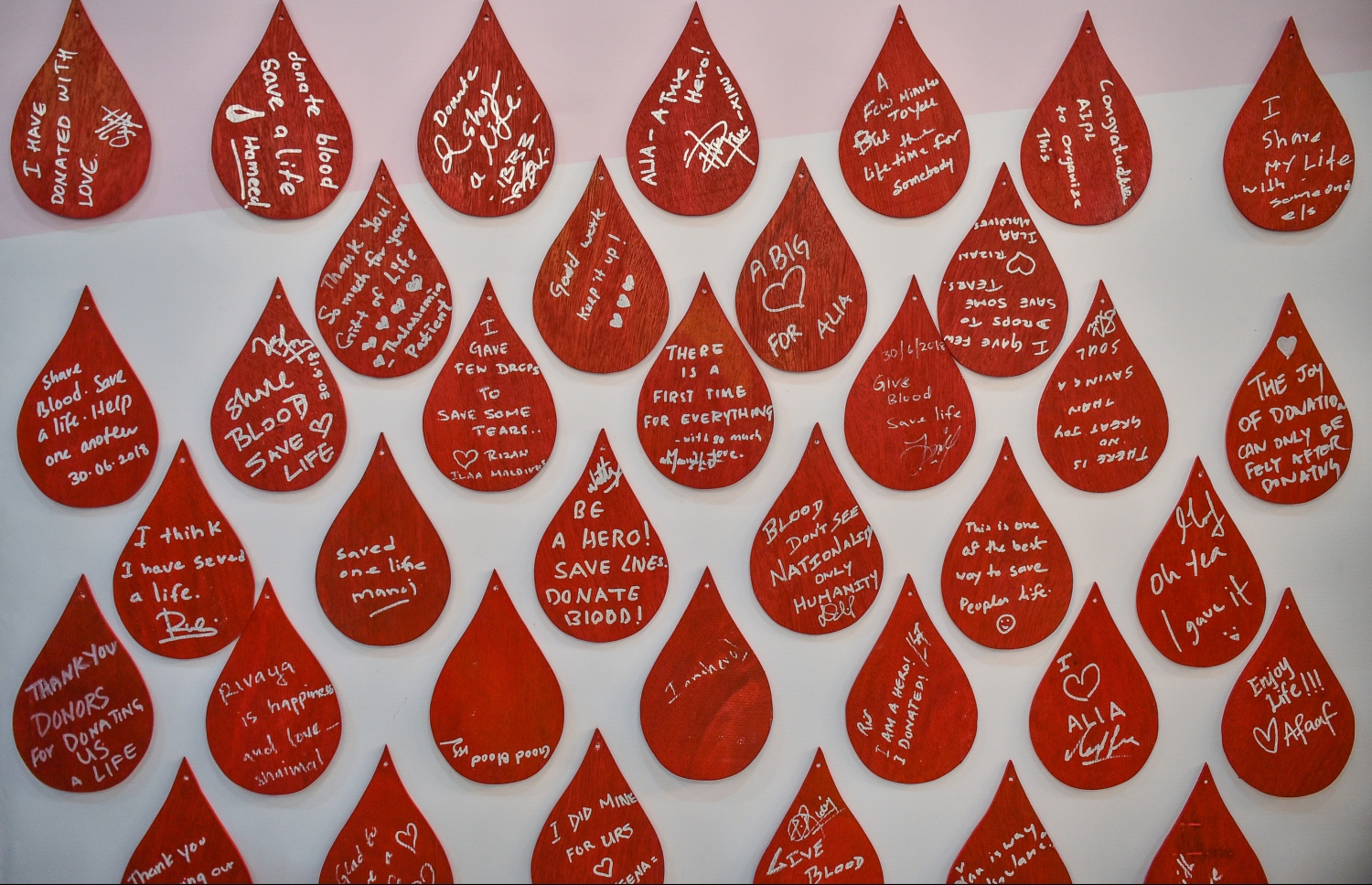 މާލެ: 30 ޖޫން 2018، ބައިނަލްއަގުވާމީ ލޭ ހަދިޔާކުރުމުގެ ދުވަސް ފާހަގަކުރުމުގެ ގޮތުން އެލިއާ އިންވެސްޓްމަންޓާއި މޯލްޑިވްސް ބްލަޑް ސާވިސް (އެމްބީއެސް) ގުޅިގެން އާޓް ގެލަރީގައި ބޭއްވި ލޭ ހަދިޔާ ކުރުމުގެ ކޭމްޕްގެ ތެރެއިން --. ފޮޓޯ:ނިޝާން އަލީ/ މިހާރު