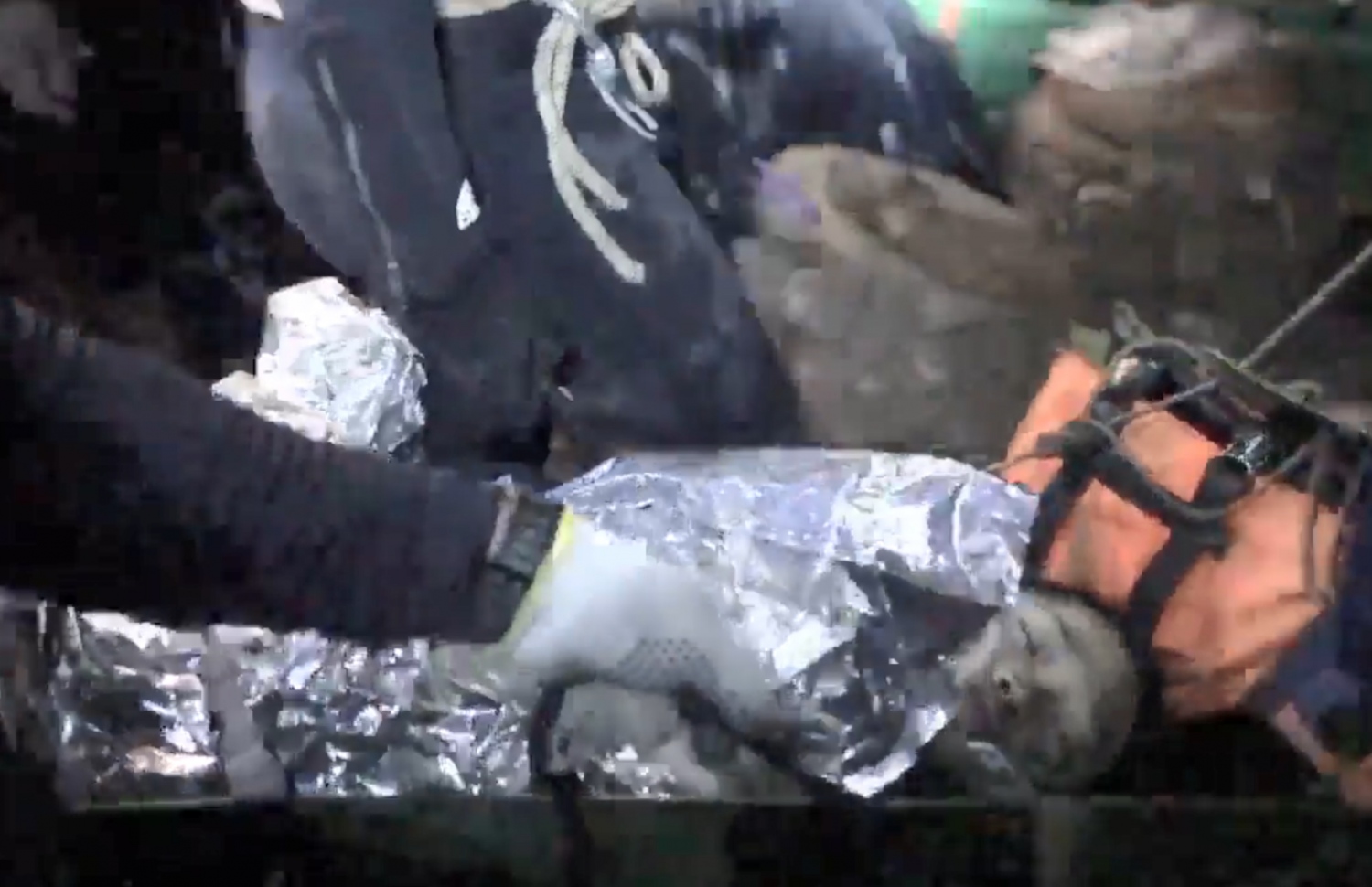 ތަމް ލުއާން ހޮހަޅައިން ނެރުނު ކުއްޖަކު ސްޓްރެޗަރުގައި ގެންދަނީ. --ފޮޓޯ: ތައި ނޭވީ ސީލް