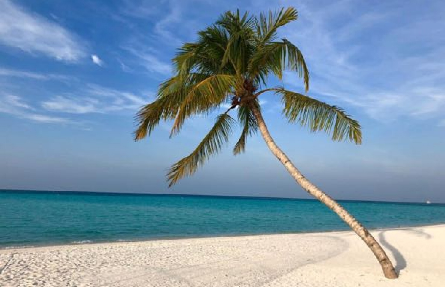 އިބޫ ނަންގަވައި، އިންސްޓަގްރާމް ކުރައްވާފައިވާ ރަށެއްގެ ފޮޓޯއެއް