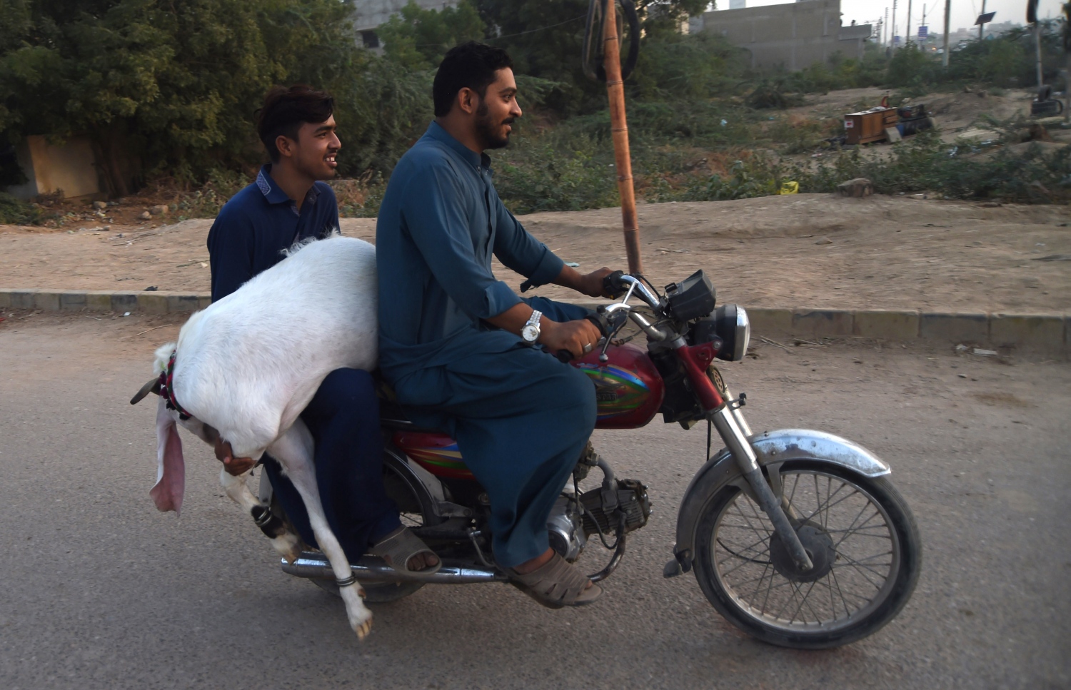 އީދަށް ކަތިލަން ޕާކިސްތާނުގެ ދެ މީހަކު ސައިކަލެއްގައި ބަކައްޓެއް ގެންދަނީ. --ފޮޓޯ:އޭއެފްޕީ