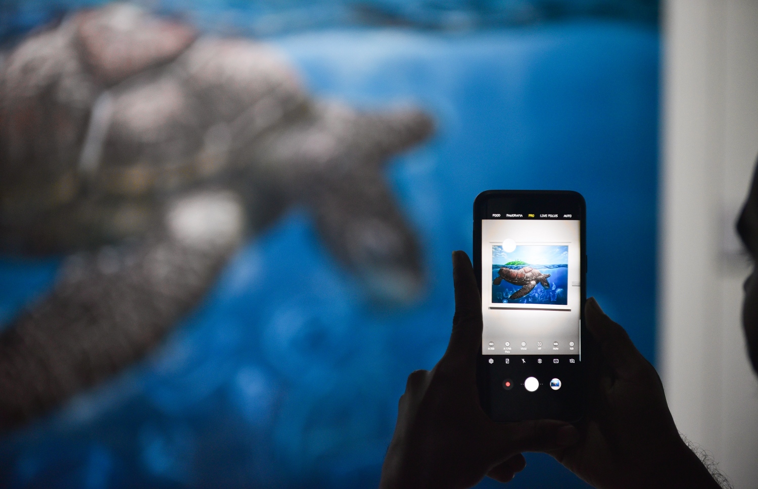 ސެޕްޓެމްބަރު 3، 2018- "މޯލްޑިވްސް ކޮންޓެންޕޮރަރީ އާޓް އެގްޒިބިޝަން 2018" ގައި ބަހައްޓާފައިވާ ކުރެހުމެއްގެ ފޮޓޯ މީހަކު ނަގަނީ.--- ފޮޓޯ: ހުސައިން ވަހީދު/މިހާރު