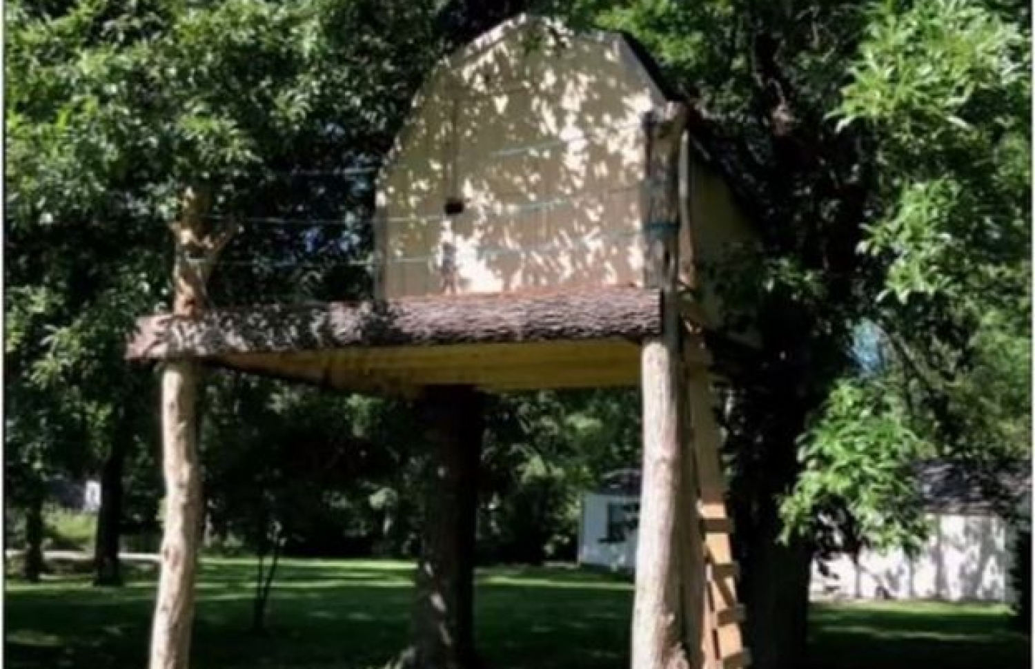 ދިހަ އަހަރުގެ ކުއްޖާ ކުޅެން އުޅުނު ޓްރީ ހައުސް. --ފޮޓޯ:ސީބީއެސް