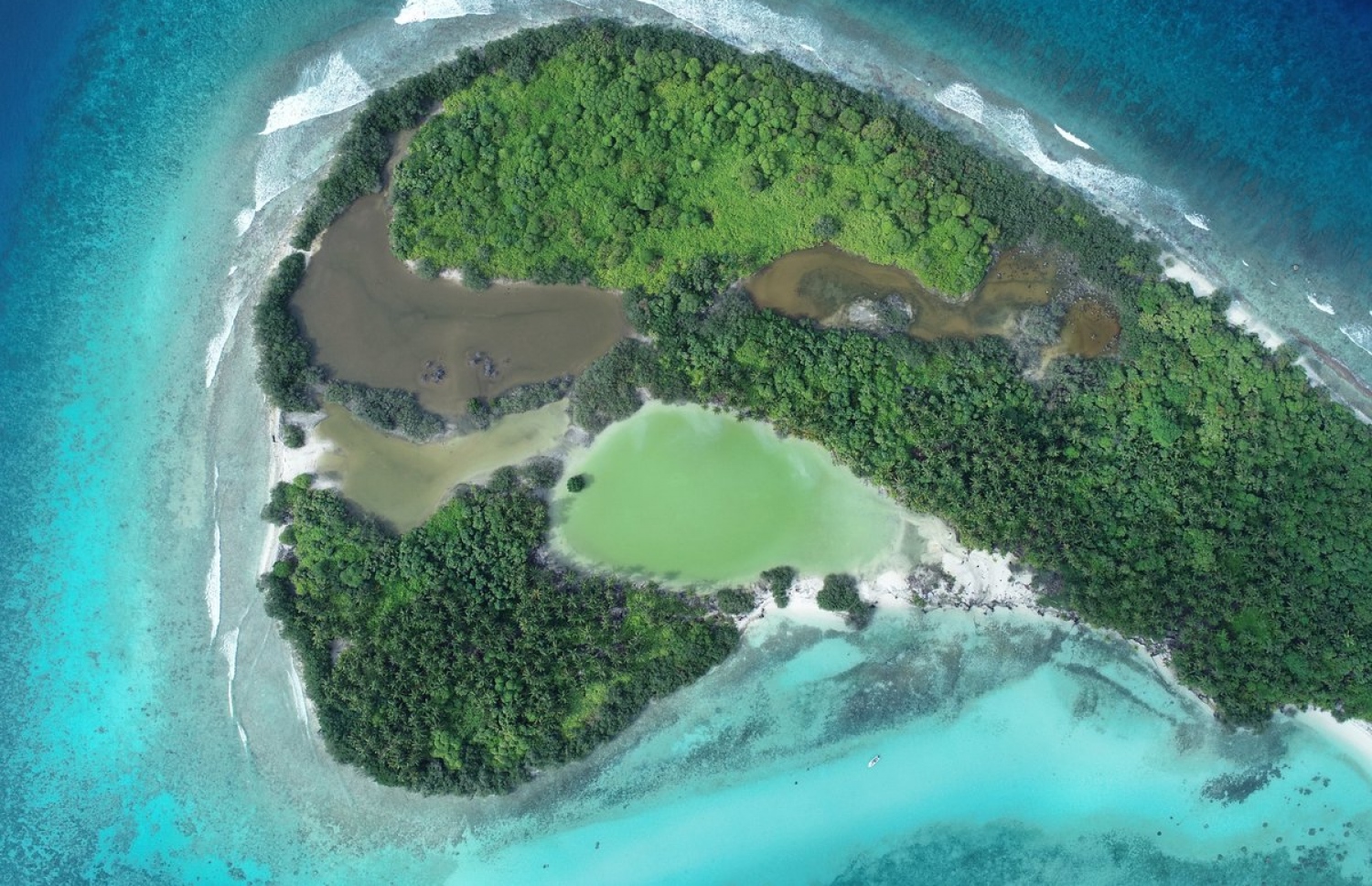 ހިމާޔަތްކޮށްފައިވާ ށ. ފަރުކޮޅު: އެހެން ސަރުކާރަކުން މިތަނުގެ ކުޅިތައް ހިއްކާ، ރިސޯޓެއް ވެސް ހަދާފާނެ