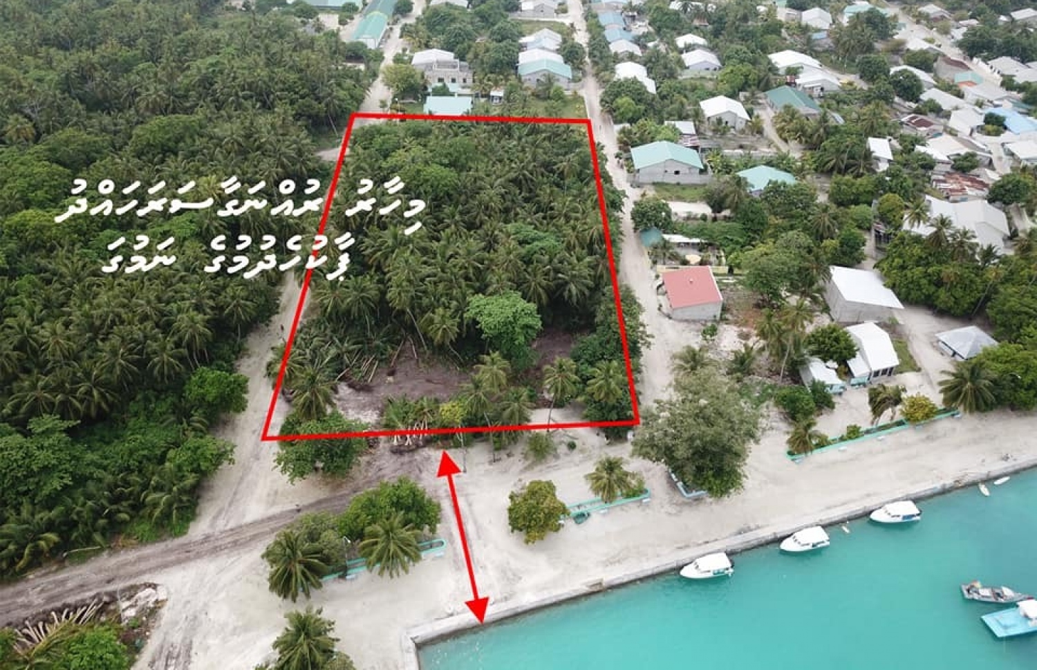 އާބާދީ ކުޑަ މި ރަށުގައި ކުޑަކުދިންގެ ޕާކެއް ހެދުމުގެ ނަމުގައި މި ބޮޑު ސަރަހައްދުން ރުއްގަސް ނަގަން ވަނީ ފަށާފައި -- ފޭސްބުކް ފޮޓޯ: ޅައިމަގު އޮންލައިން