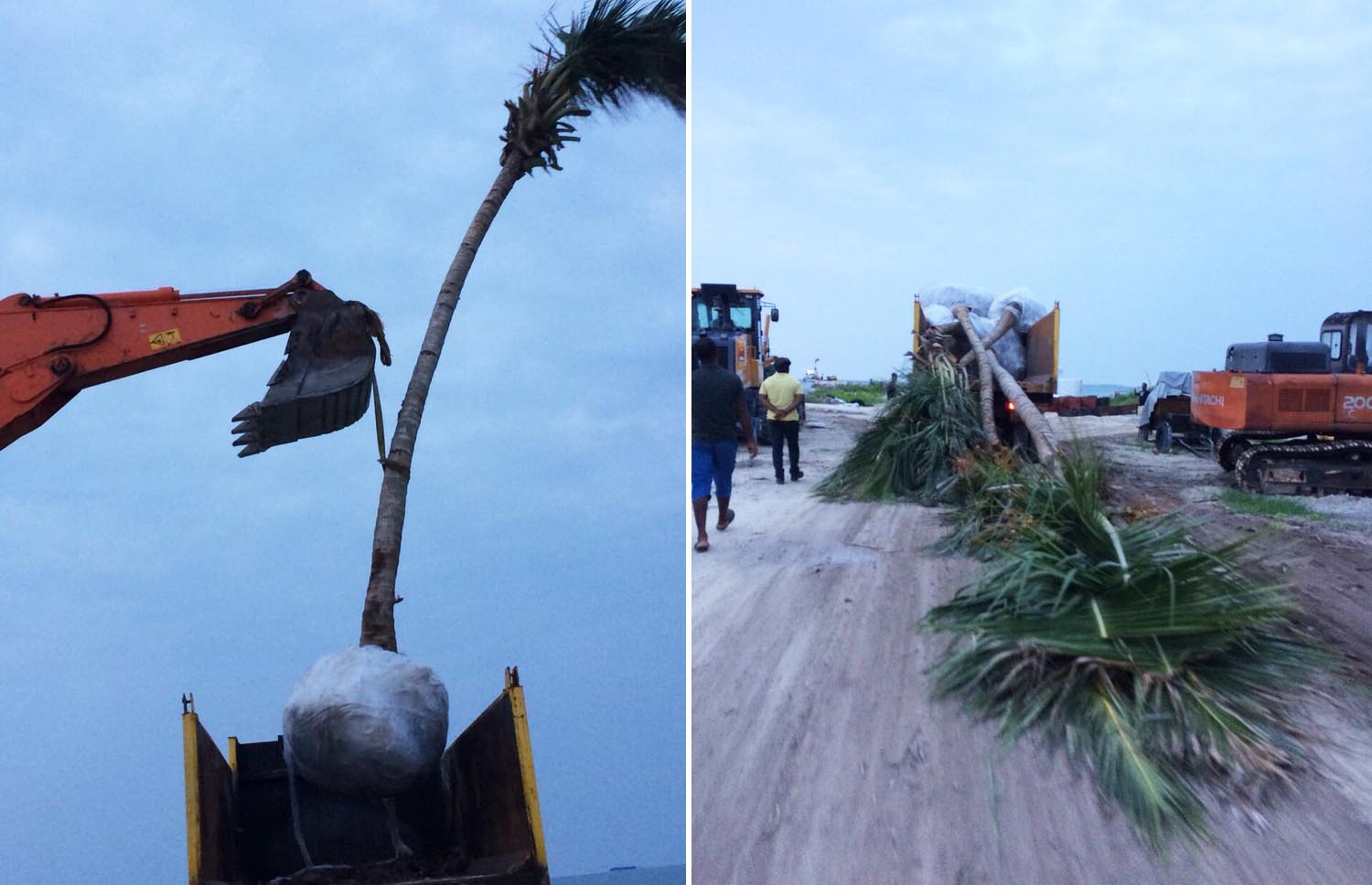 ނ. މާފަރުން ރުއްތަކެއް ބޭރުކުރަން ކޮޅުވެއްޓިއަކަށް ބަރުކުރަނީ: މިއީ ޔޫއޭއީގެ އަބޫ ދާބީ އަށް ގެންދަން އުޅުނު ރުއްތަކެއް.