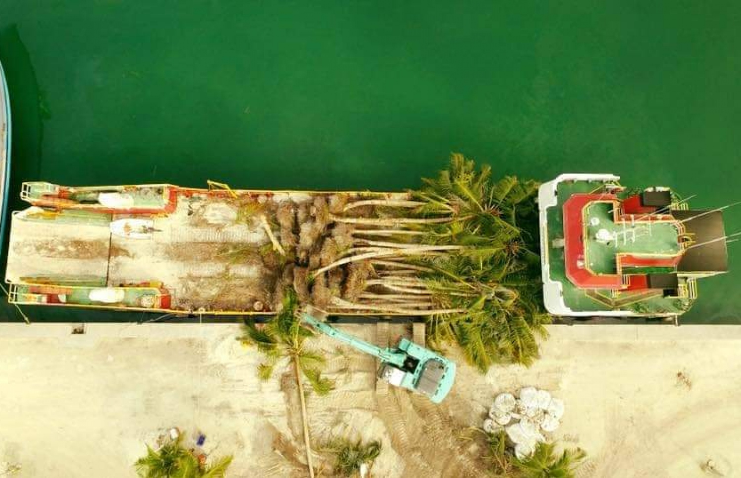 ކ. ކާށިދޫން ނެގި ރުއްތަކެއް އުޅަނދަކަށް ބަރުކުރަނީ