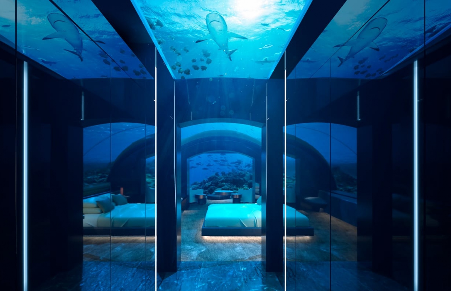 މުރަކައިގެ ކޮޓަރިއެއް. މިއީ ރާއްޖޭގައި ހުޅުވި ކަނޑުއަޑީގެ ފުރަތަމަ ވިލާ--