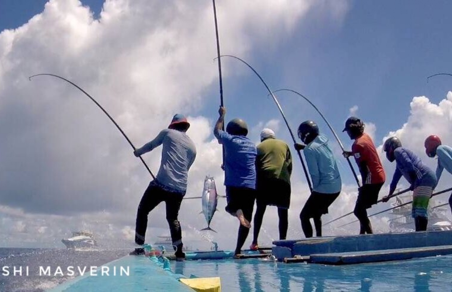 ގެމަނަފުށީ މަސްވެރިން މަސް ބޭނުމުގައި-- ފޮޓޯ: ޓްވިޓާ