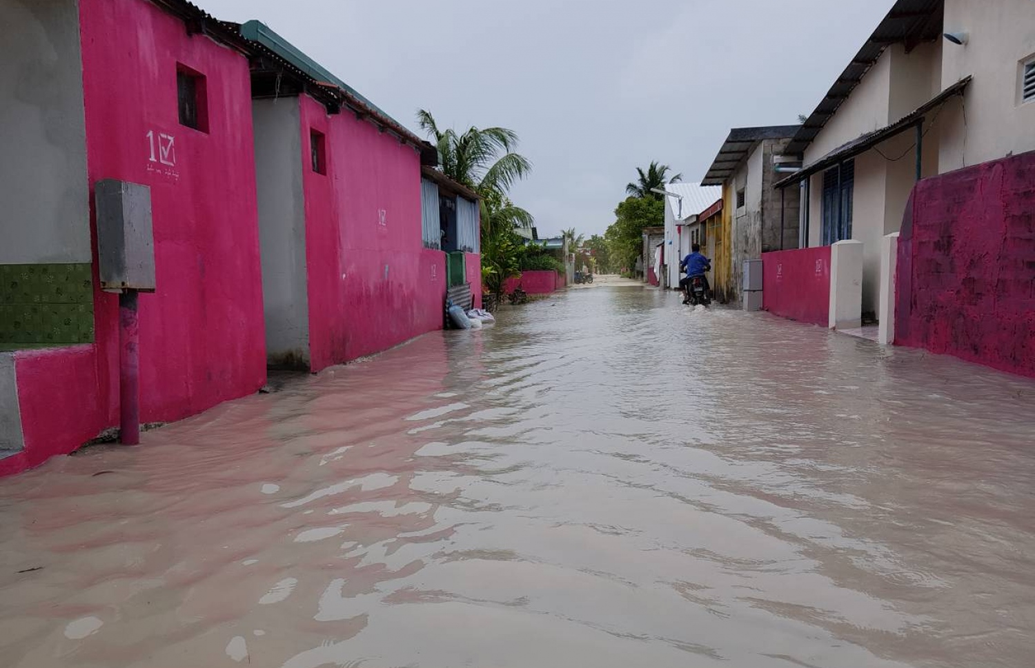 ވިއްސާރައިގައި މަގެއްގައި ފެންބޮޑިވެފައި.