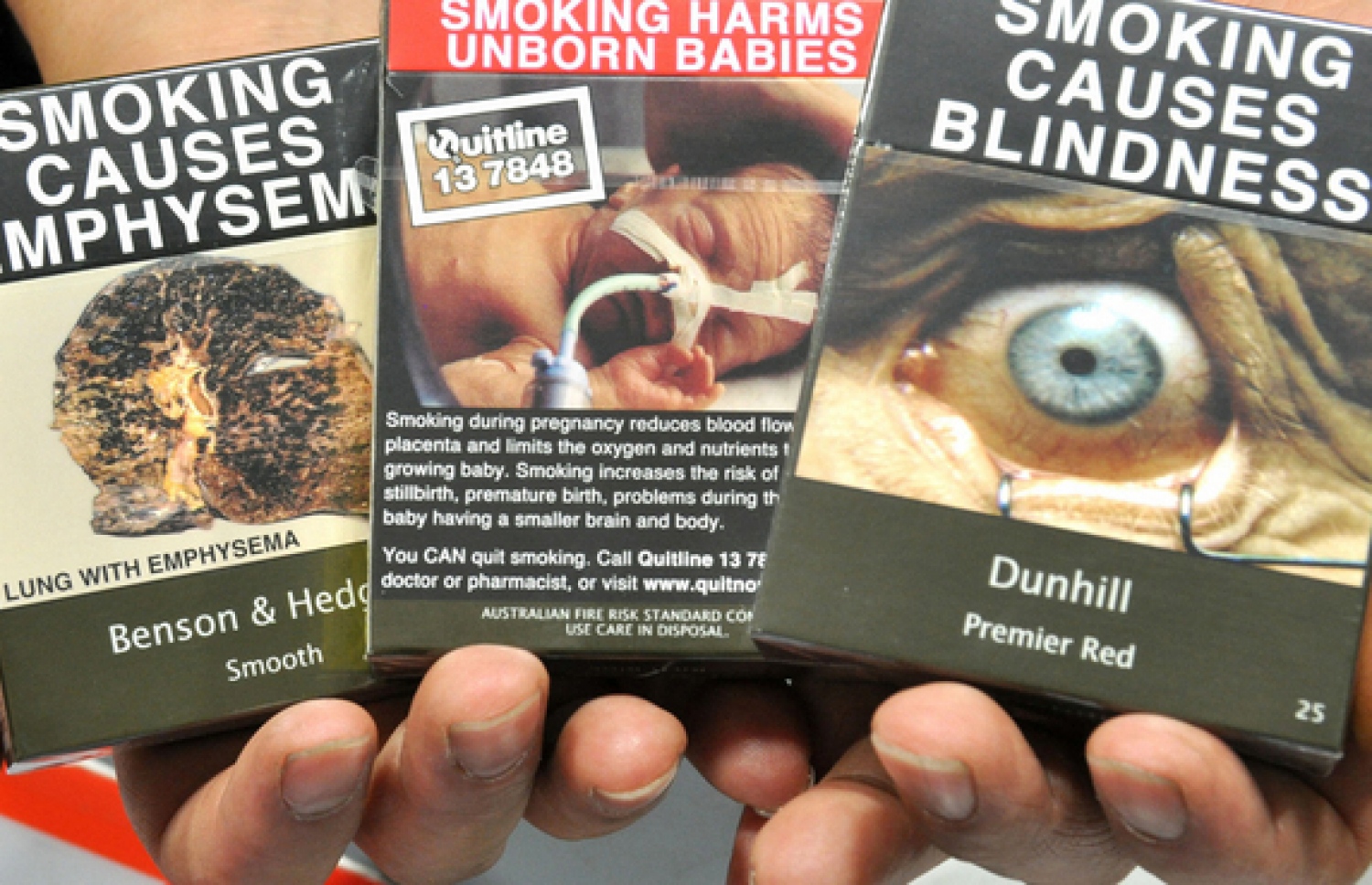 ސިނގިރޭޓް ފޮށީގައި ދުންފަތުގެ ސަބަބުން ޖެހޭ މަލިތަކުގެ ފޮޓޯ ޖަހާފައި--