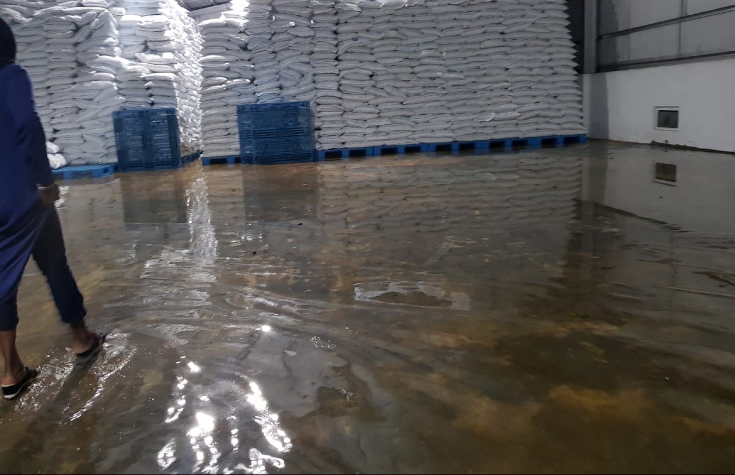 އެސްޓީއޯ ގުދަނަށް ފެން ވަދެފައި: ކާޑުގެ ބާވަތްތައް ސަލާމަތްކުރެވުނީ މުވައްޒަފުން ހުށިޔާރުކަމުން ކަމަށް އެ ކުންފުނިން ބުނޭ