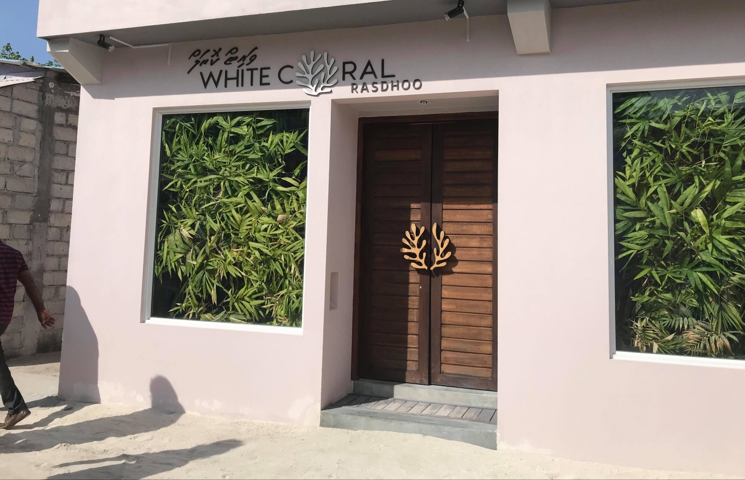 ރަސްދޫގައި ހުރި "ވައިޓް ކޮރަލް ރަސްދޫ"