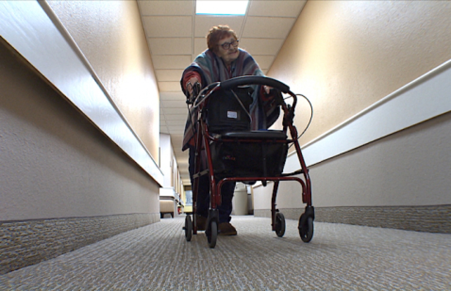 ޖެނެޓް ޓެކްސަސް ޔުނިވަސިޓީގެ ތެރޭގައި.