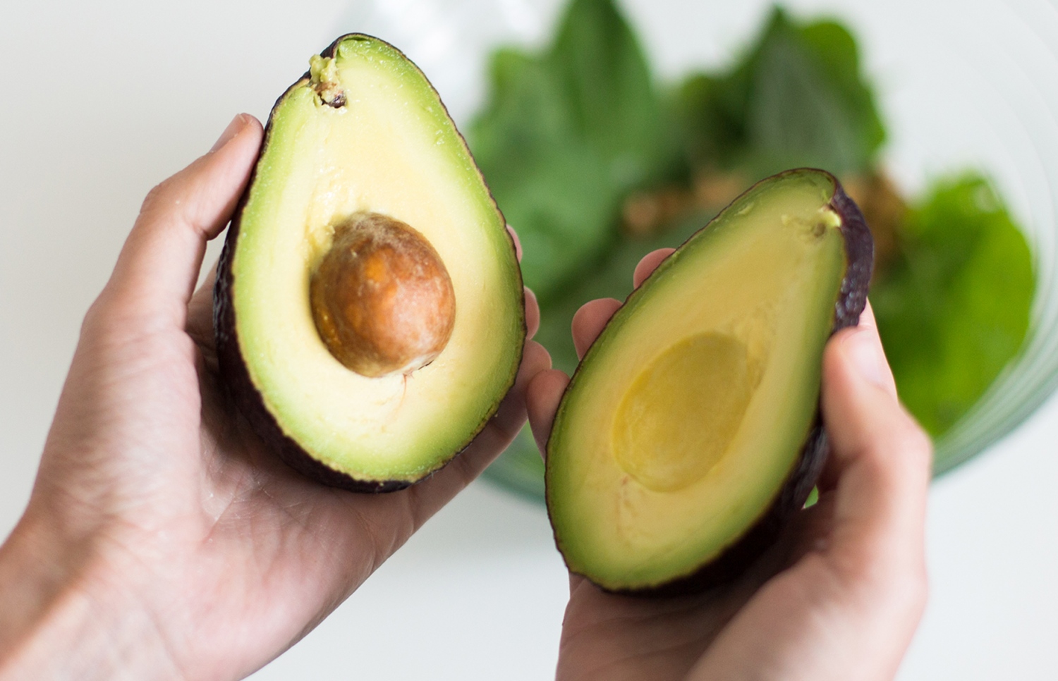 އެވޮކާޑޯއެއް ފަޅާލައިފައި.