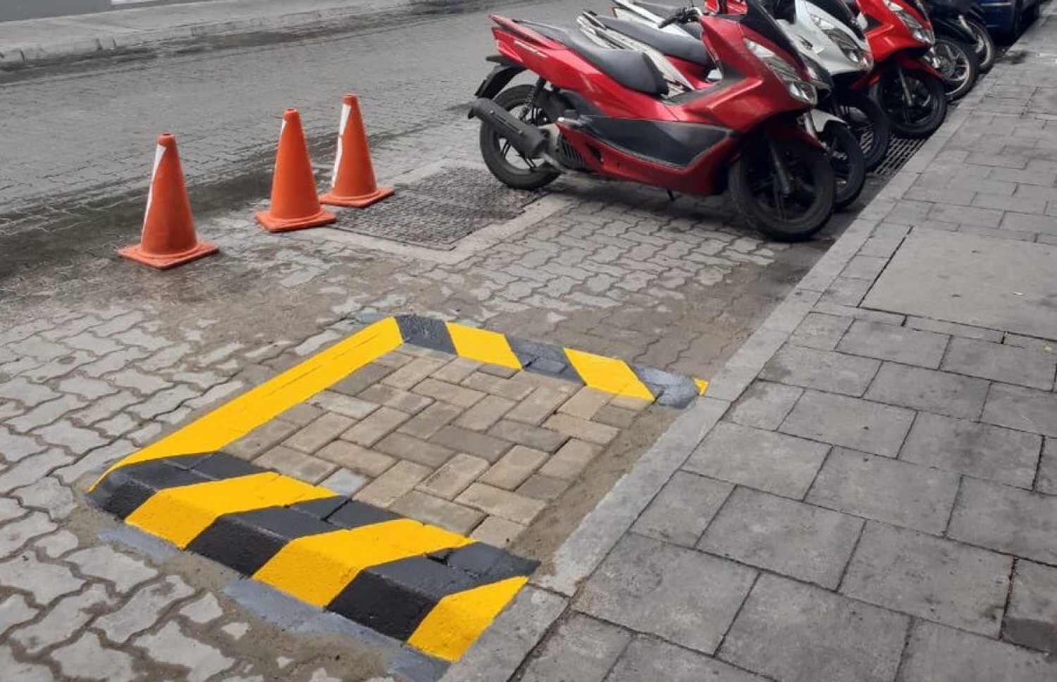 މަޖީދީމަގުން މަޒާދާކުރިމަތީގައި ހެދި އޮޅިގަނޑު.- ފޮޓޯ؛ މާލެ ސިޓީ ކައުންސިލް